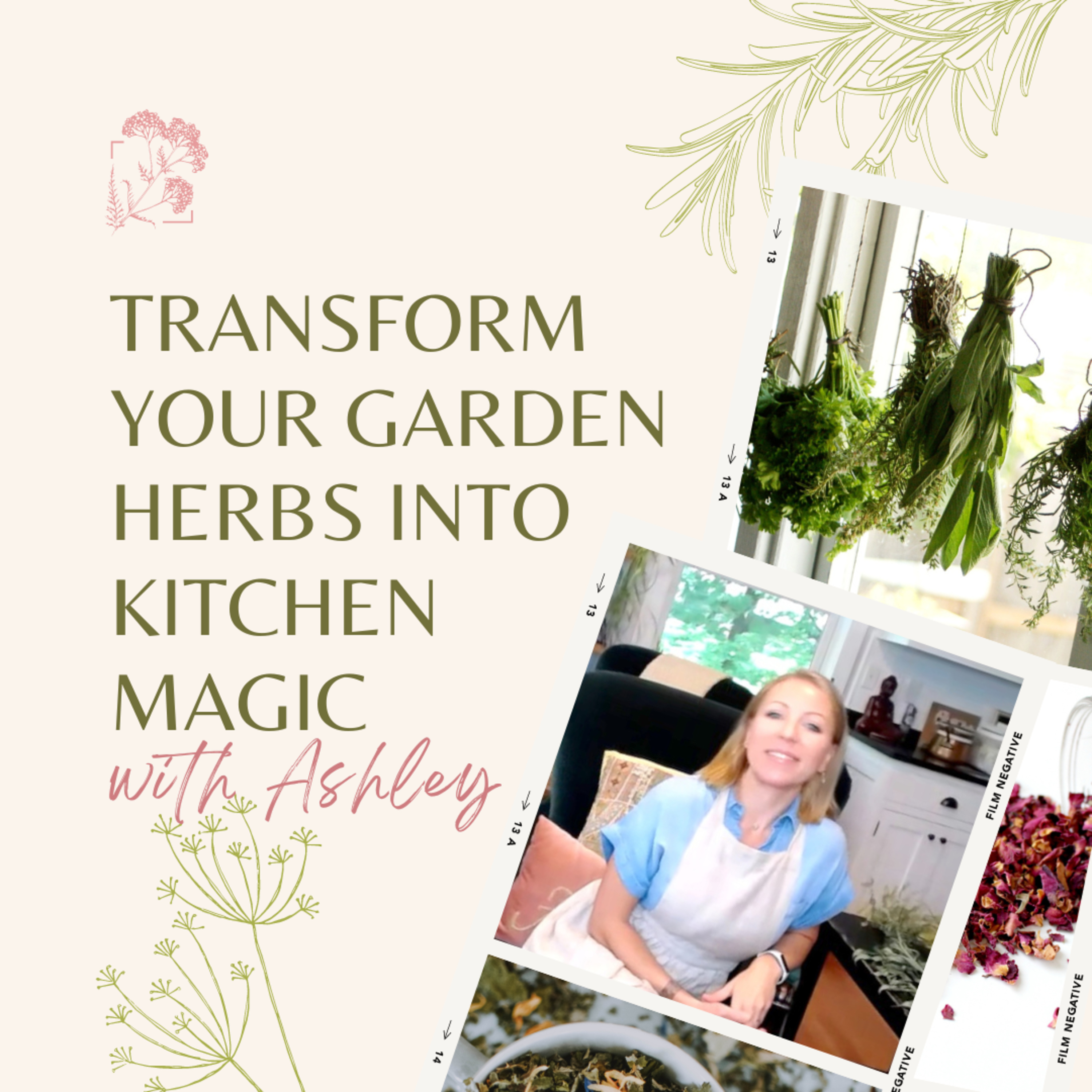 Sky House Herbs