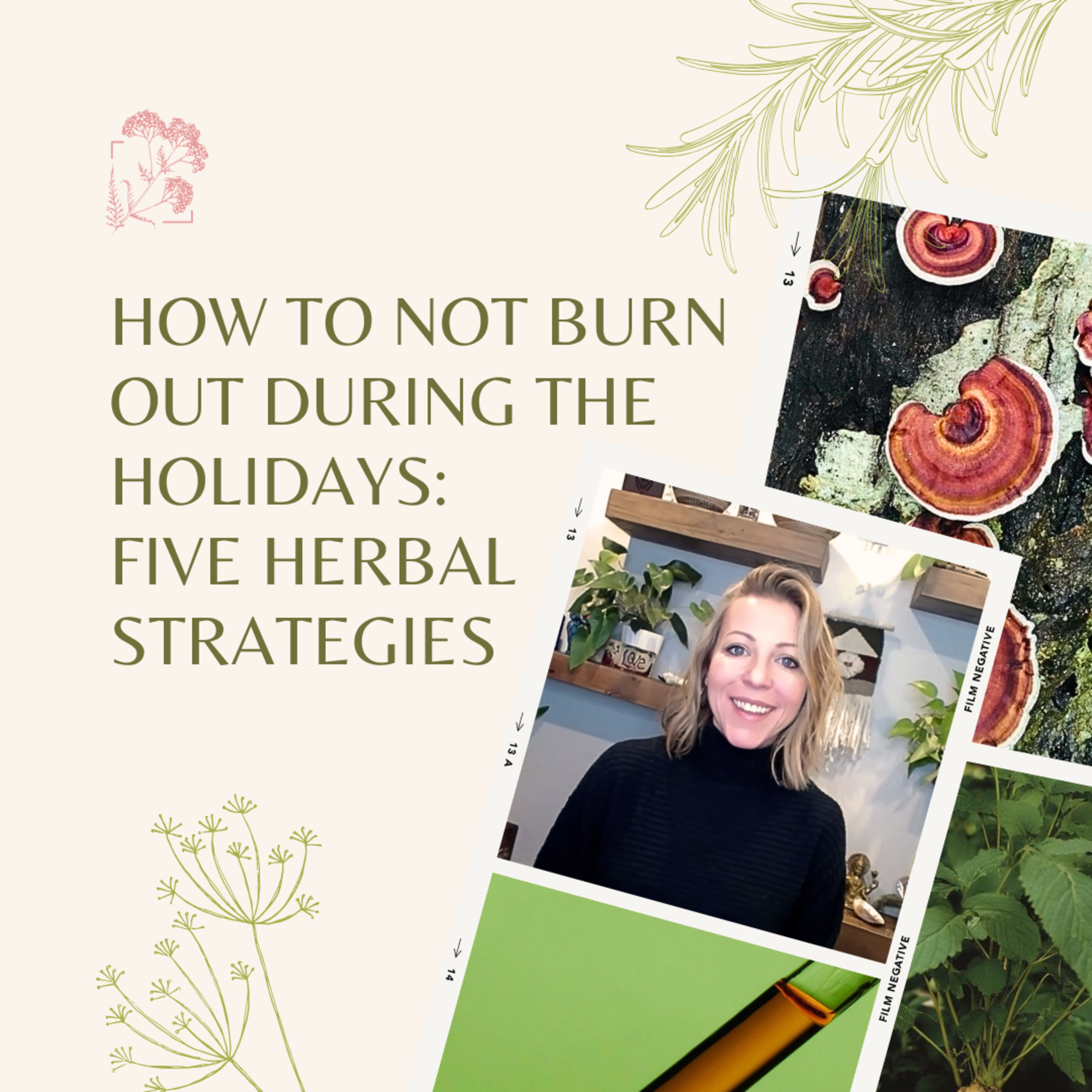 How to Not Burn Out During the Holidays: Five Herbal Strategies episode artwork