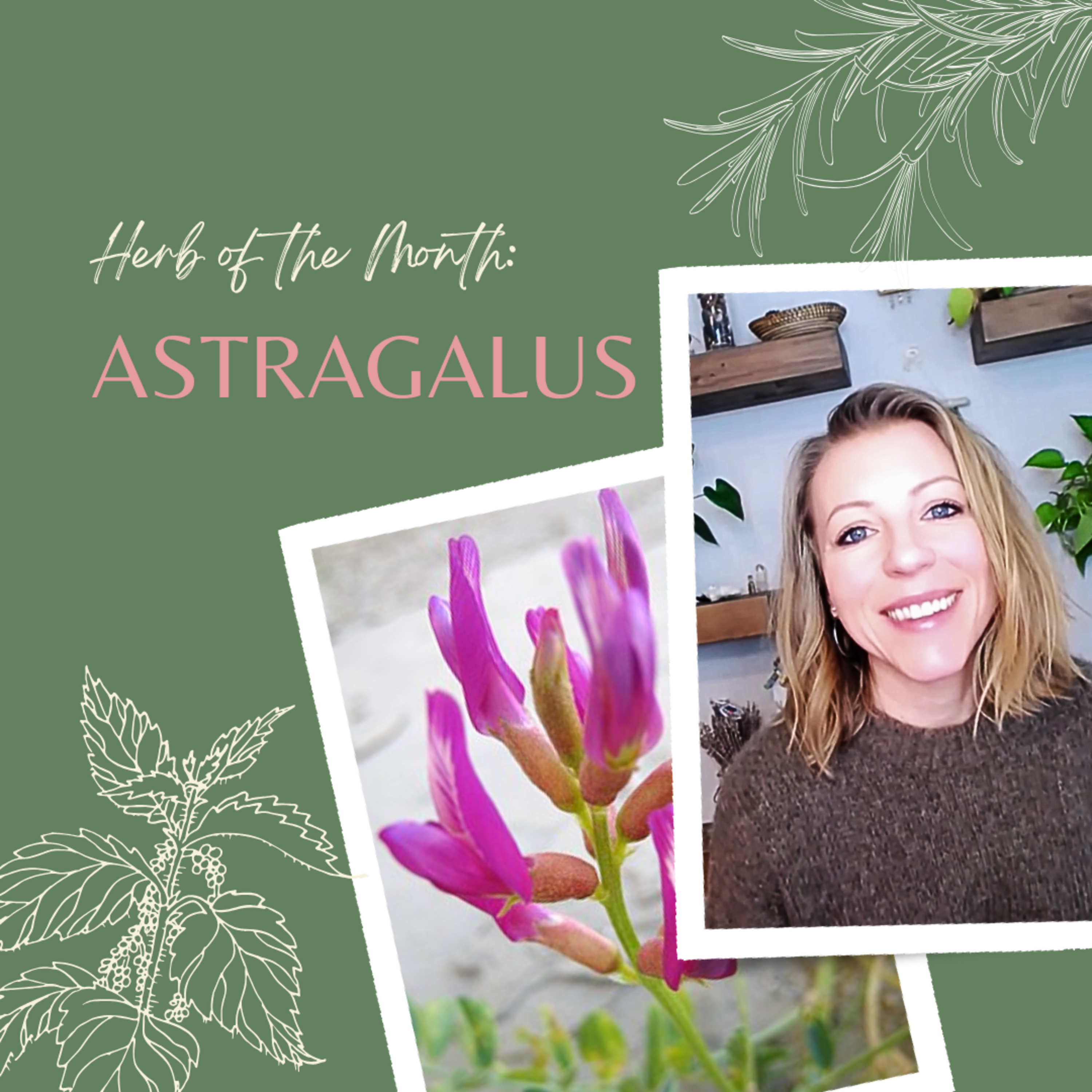 Herb of the Month: Astragalus episode artwork