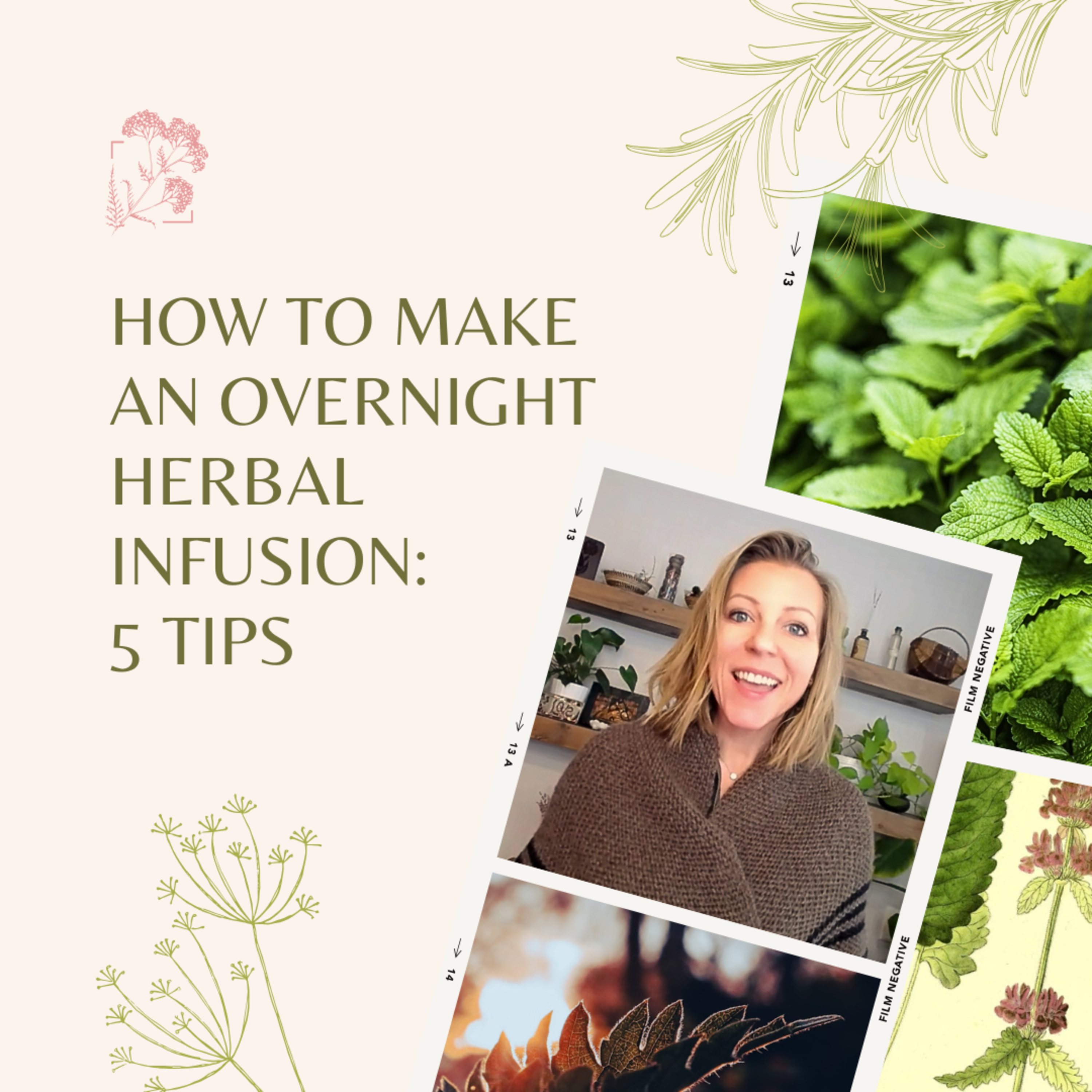 How to Make An Overnight Herbal Infusion: 5 Tips episode artwork