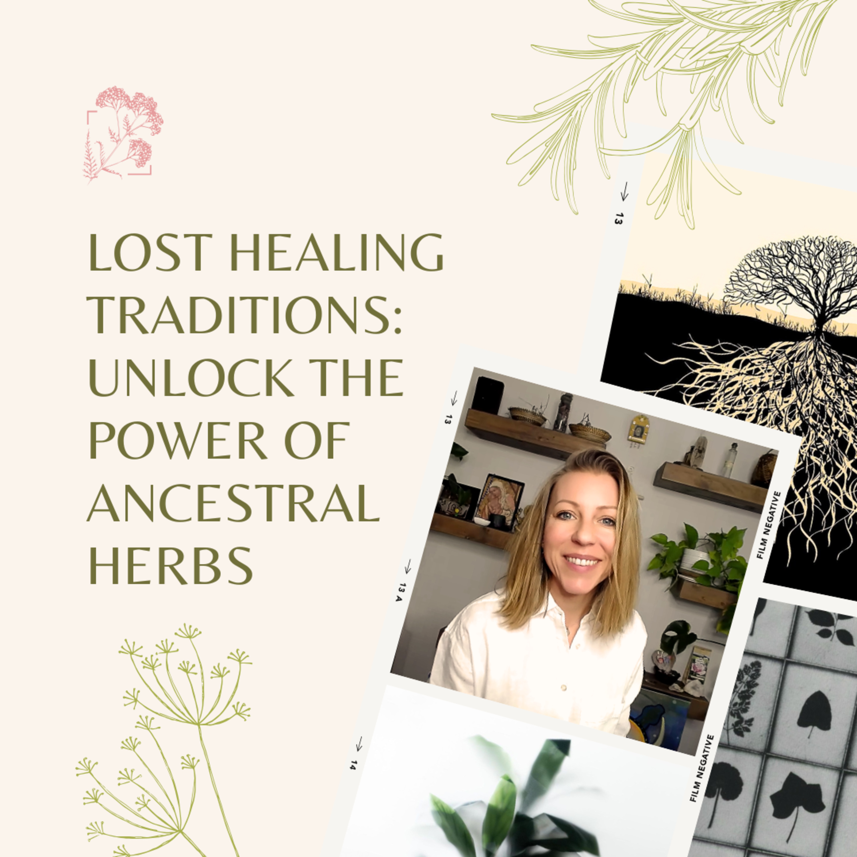 Sky House Herbs