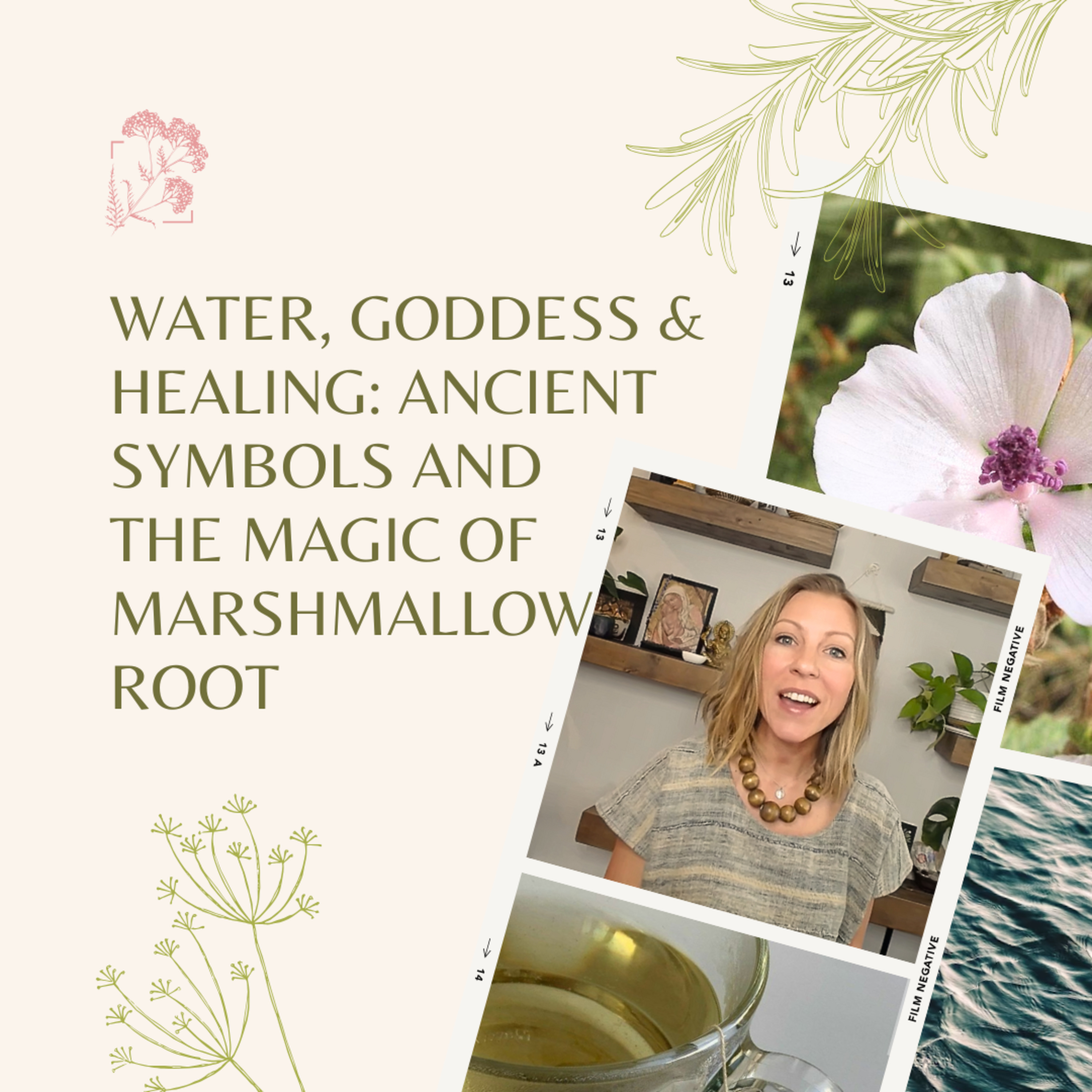 Water, Goddess & Healing: Ancient Symbols and the Magic of Marshmallow Root episode artwork