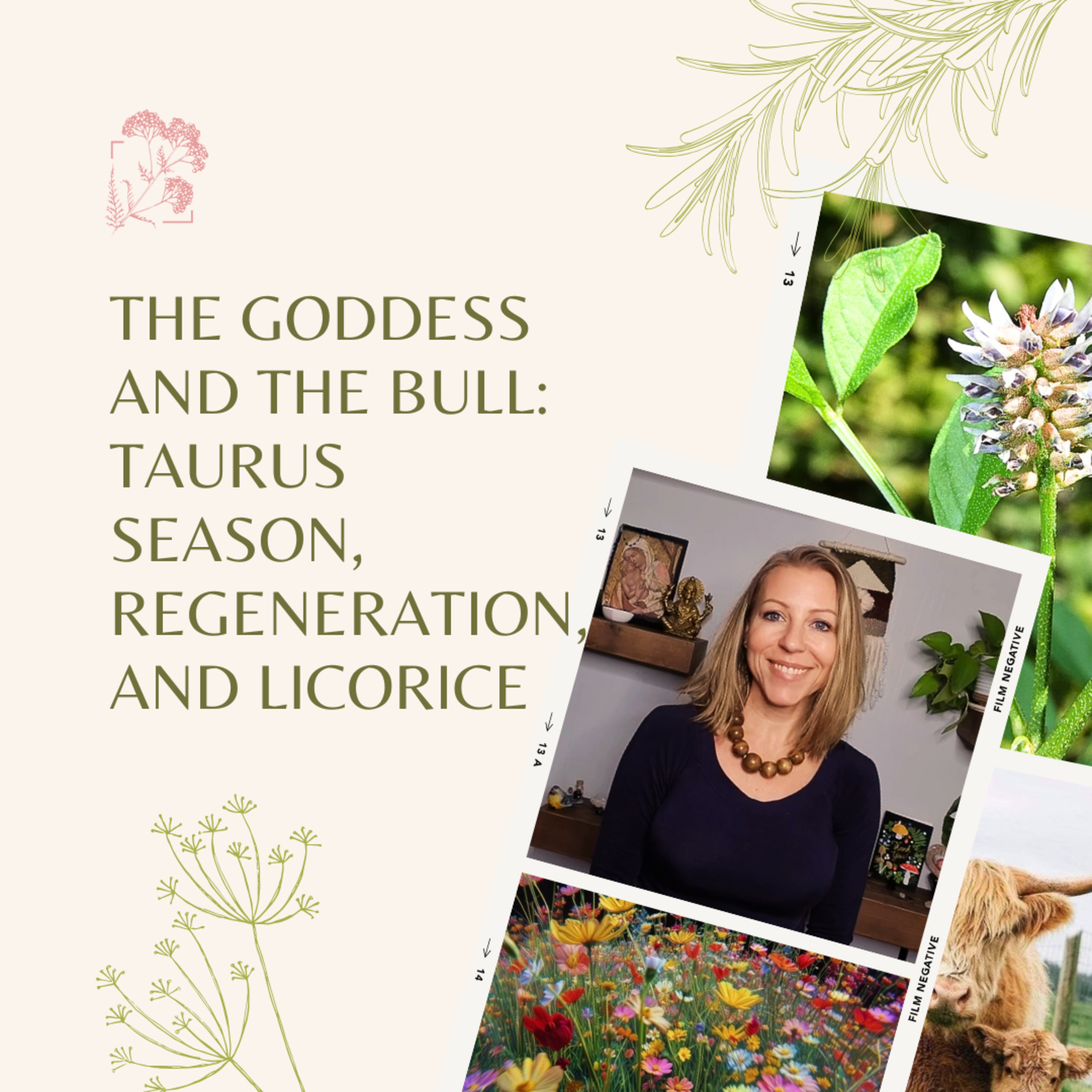 The Goddess and The Bull: Taurus Season, Regeneration, and Licorice episode artwork