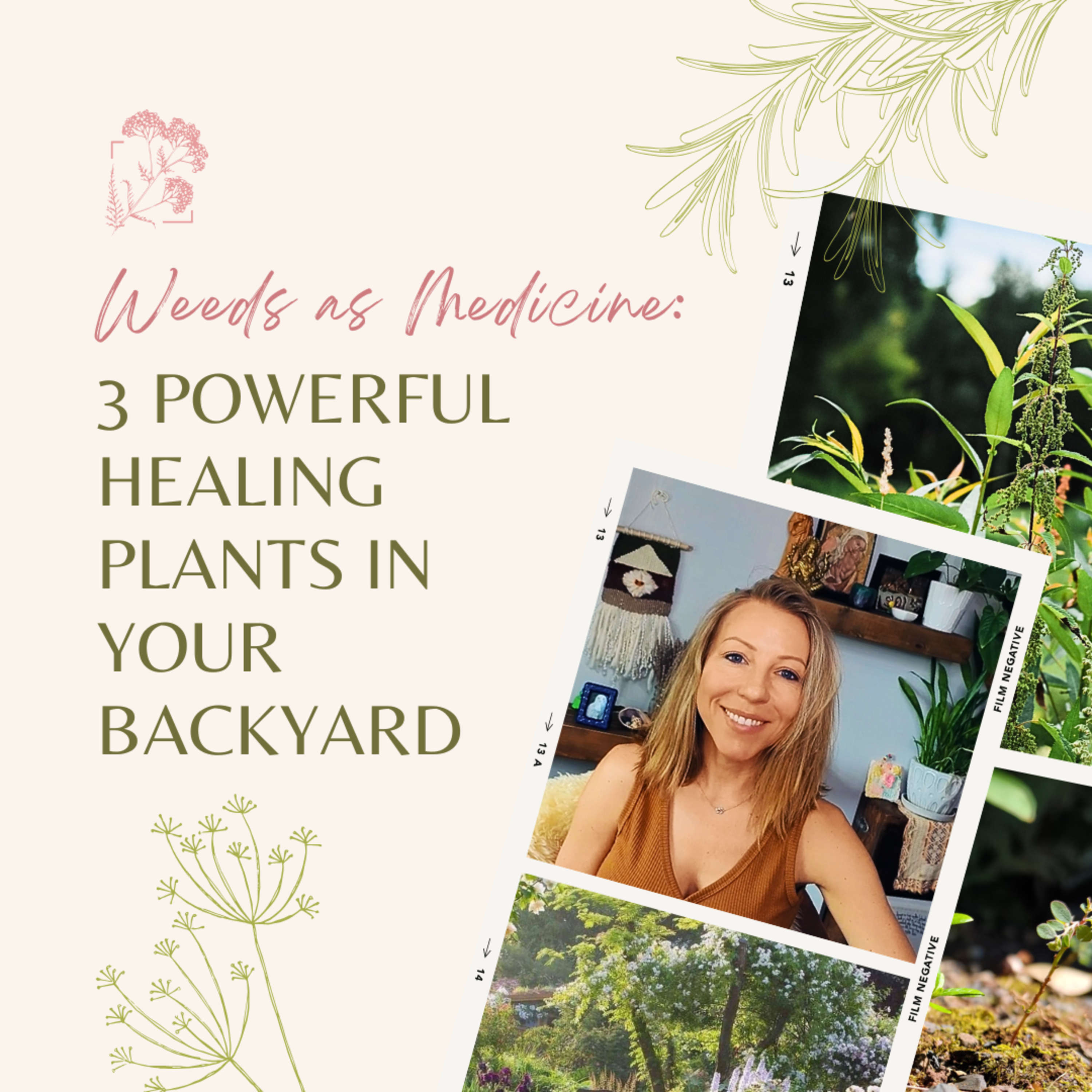 Weeds as Medicine: 3 Powerful Healing Plants in Your Backyard episode artwork