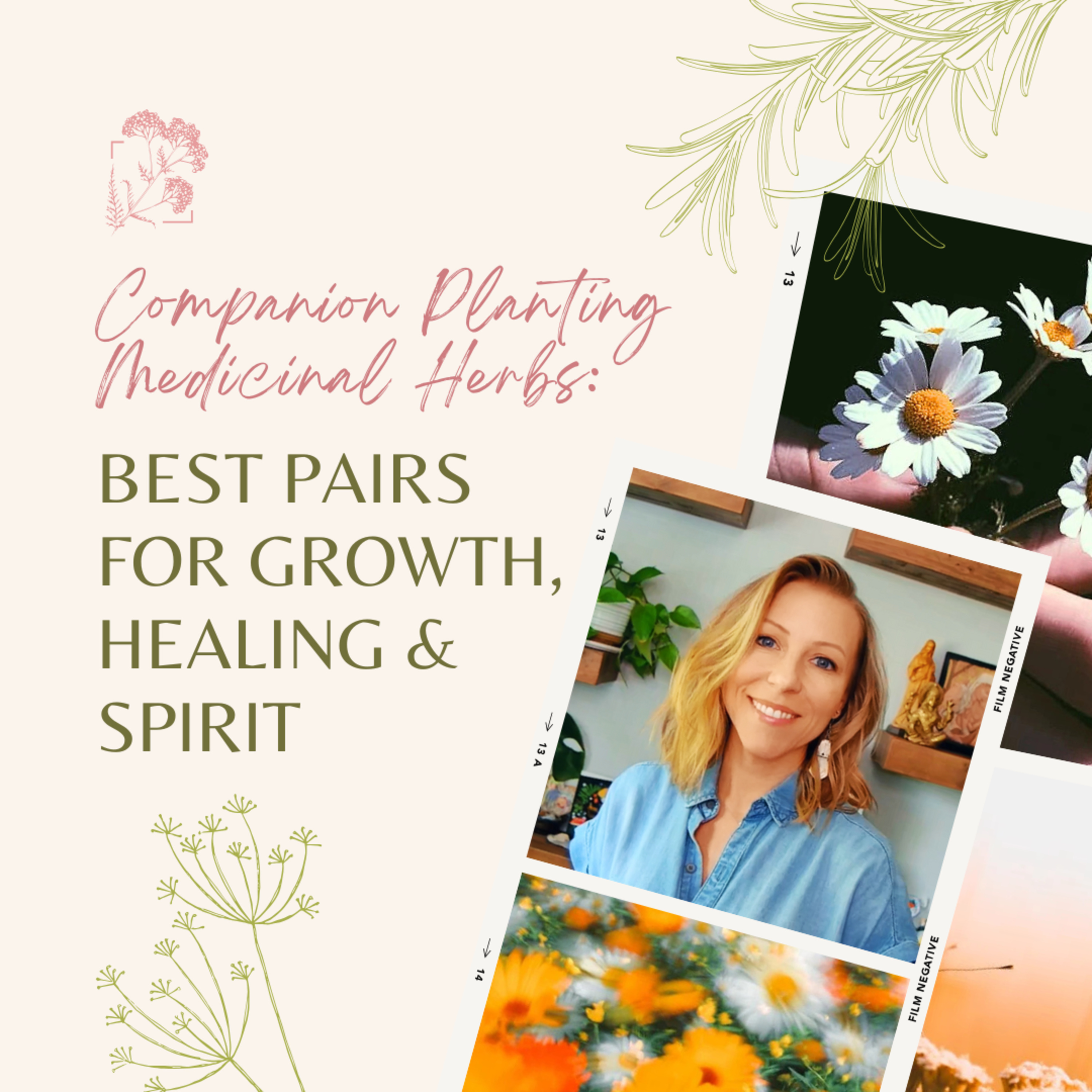 Companion Planting Medicinal Herbs: Best Pairs for Growth, Healing & Spirit