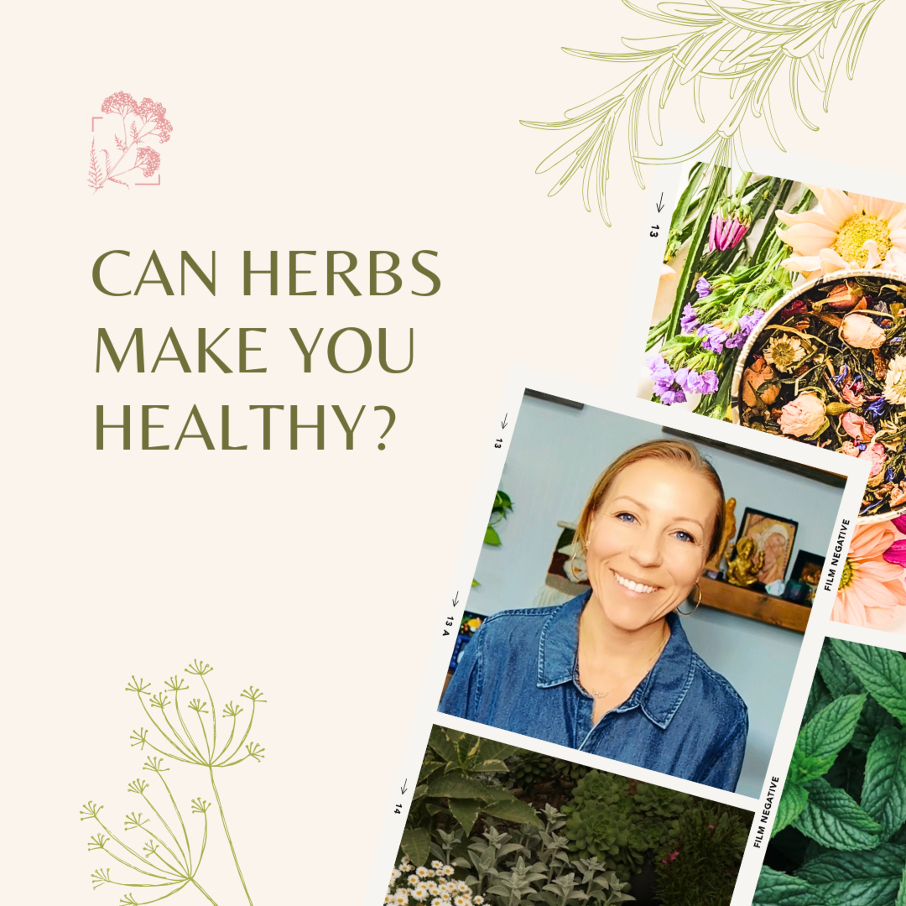 Can Herbs Make You Healthy? episode artwork