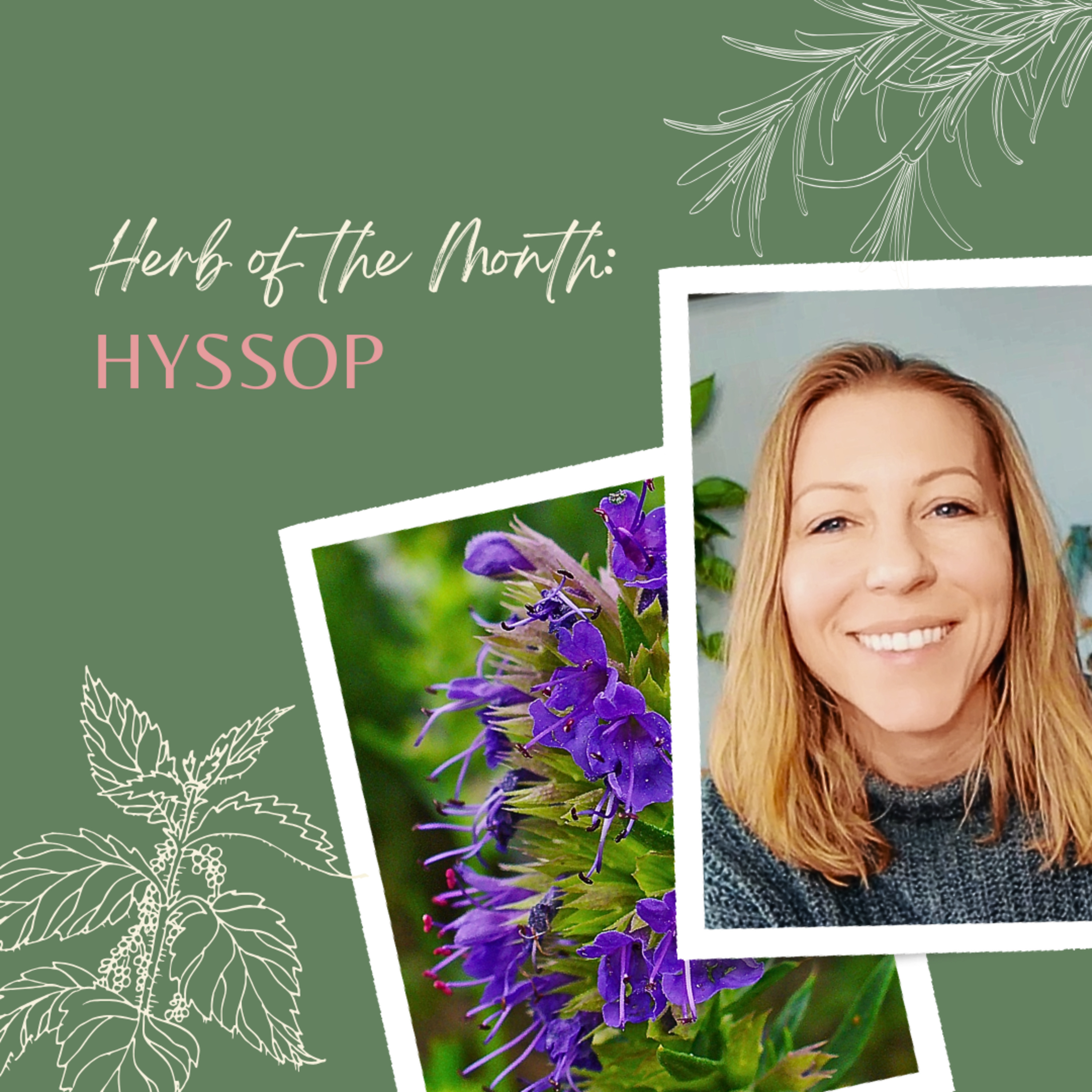 Herb of the Month: Hyssop | Ashley Elenbaas