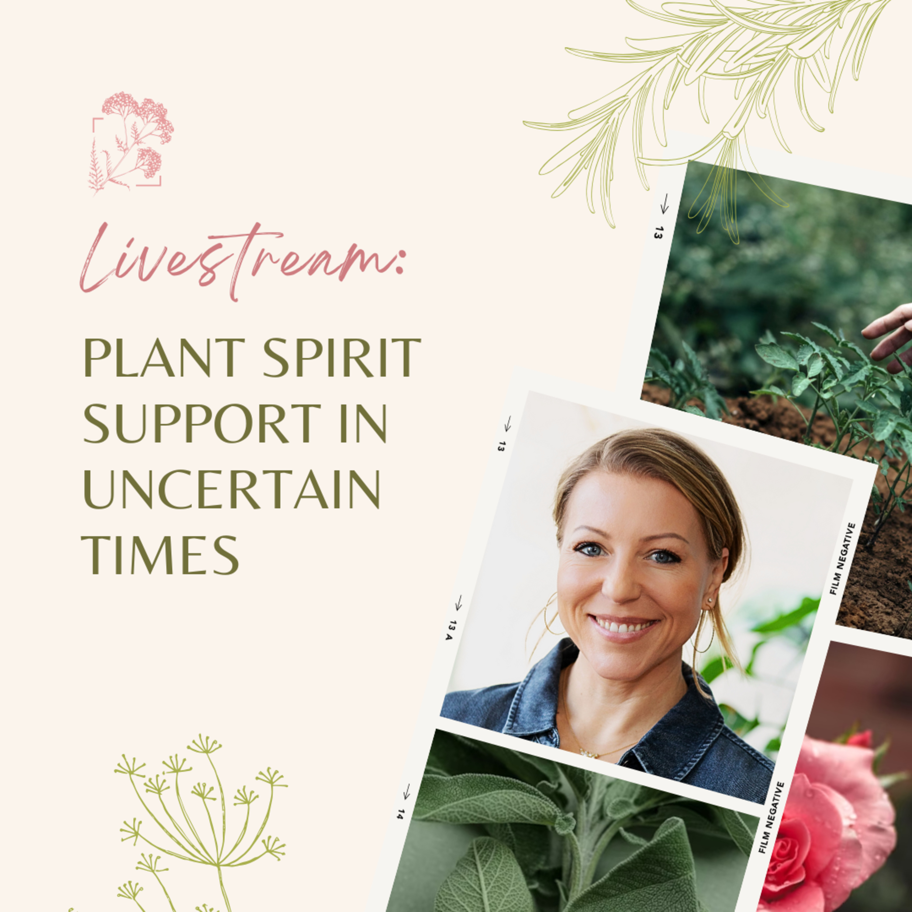 Pop-Up Live: Plant Spirit Support in Uncertain Times episode artwork