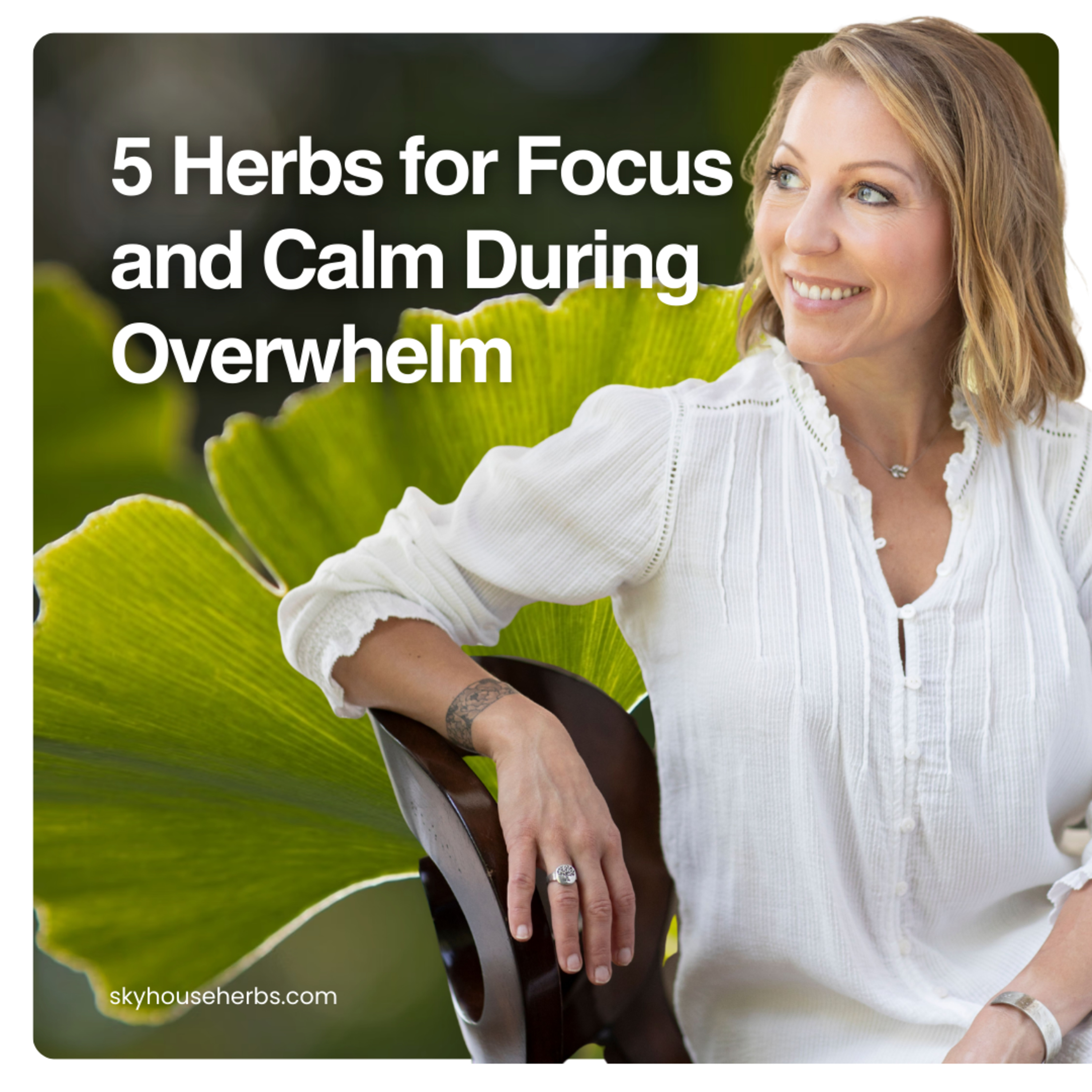 5 Herbs for Focus and Calm During Overwhelm episode artwork