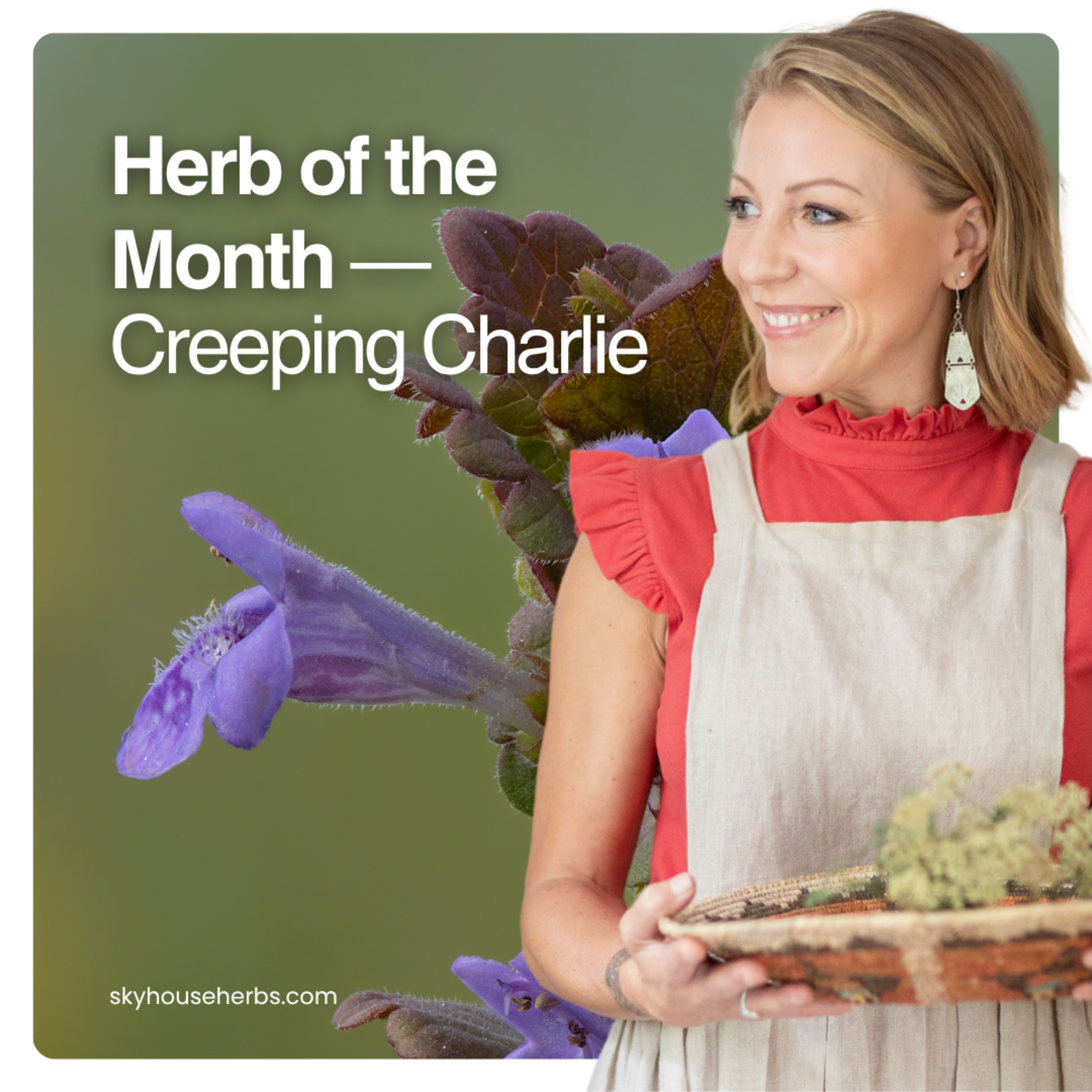 Herb of the Month — Creeping Charlie episode artwork