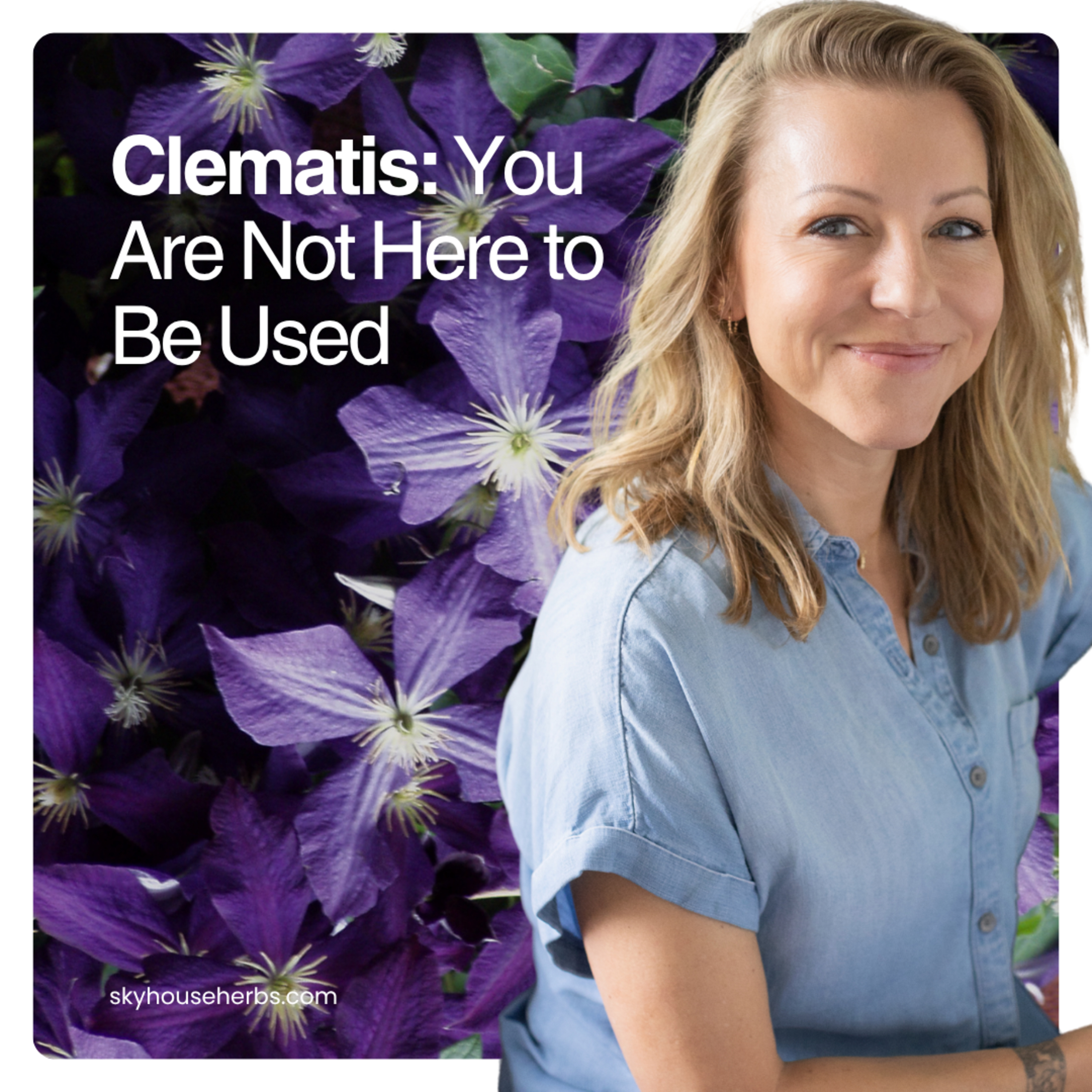 Clematis: You Are Not Here to Be Used | A Devotional Life in a Broken World episode artwork