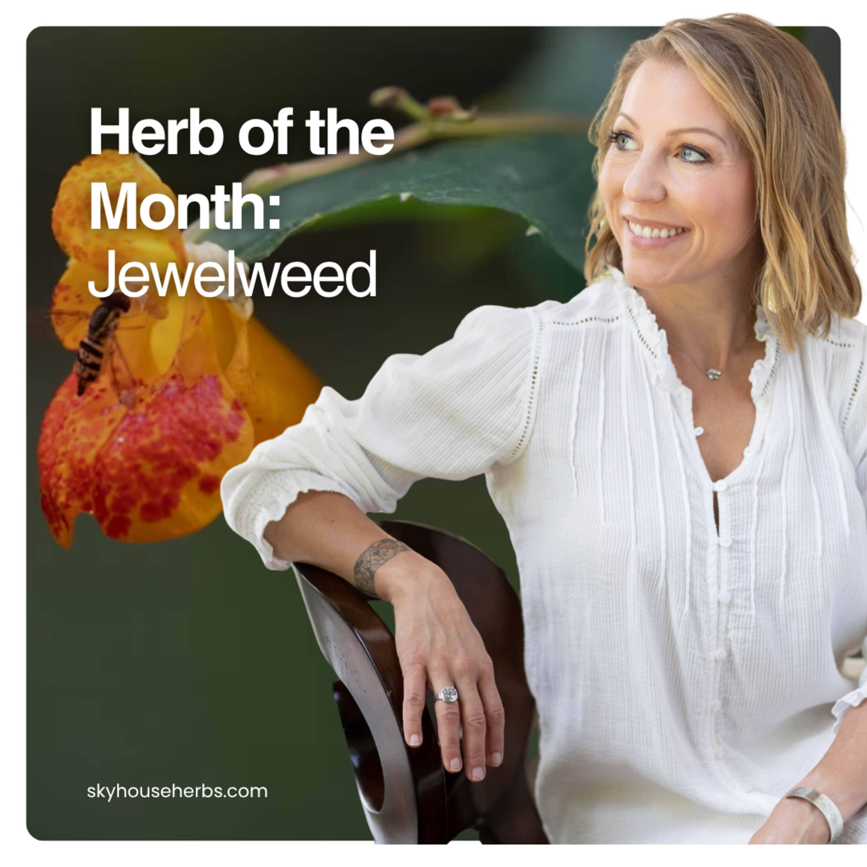 Herb of the Month: Jewelweed episode artwork