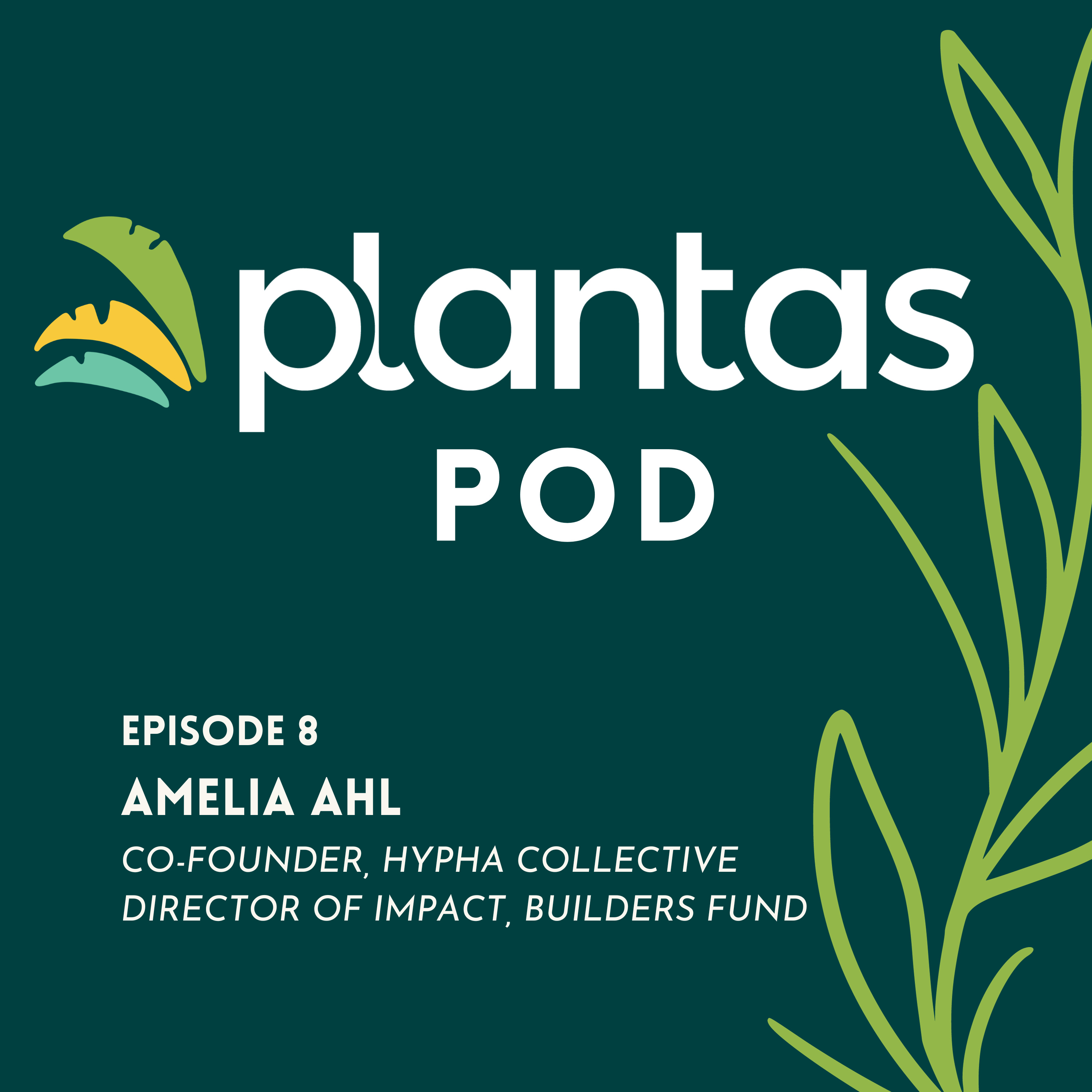 Ep. 8- Alternative Business Models with Amelia Ahl episode artwork