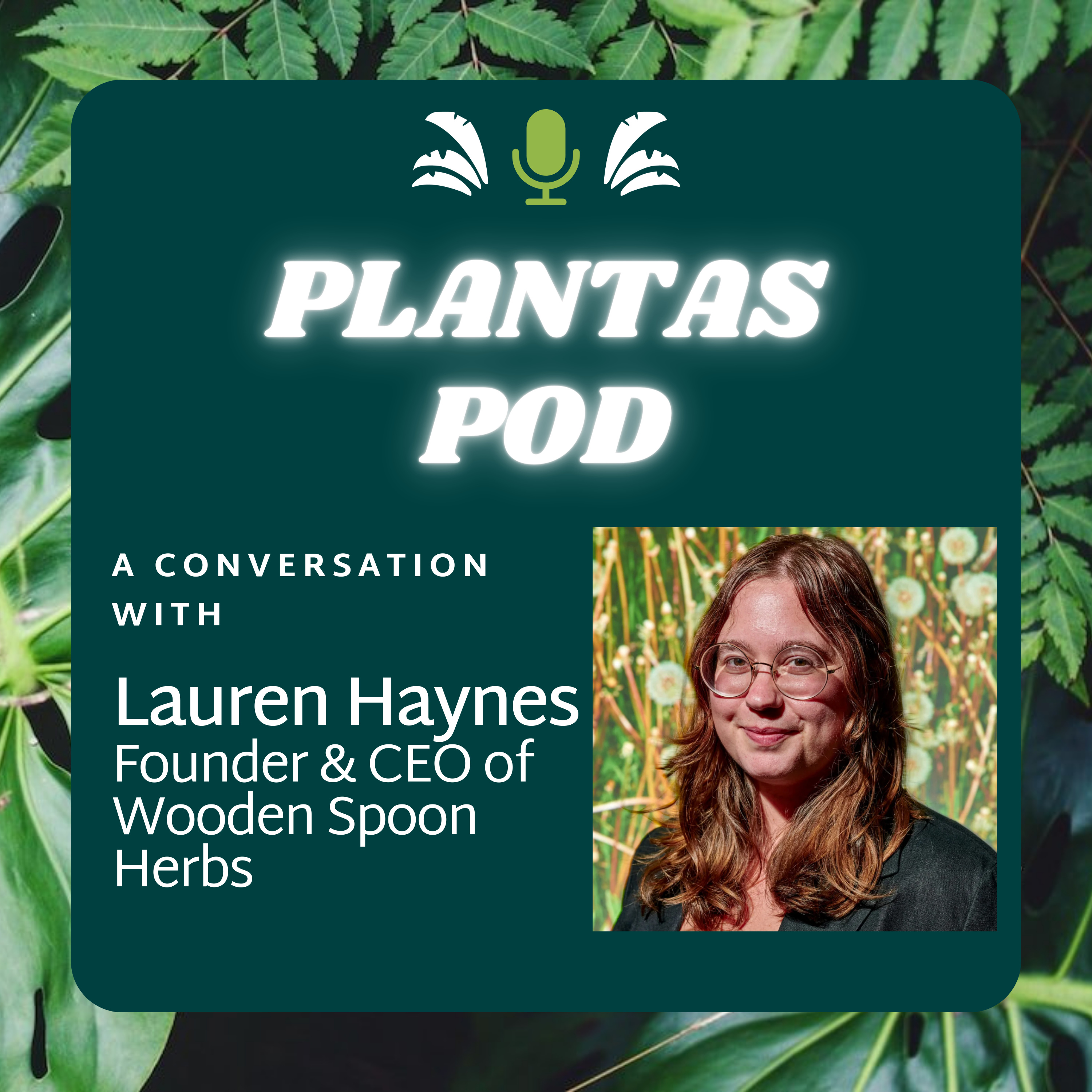 A Conversation with Lauren Haynes, Founder and CEO of Wooden Spoon Herbs episode artwork