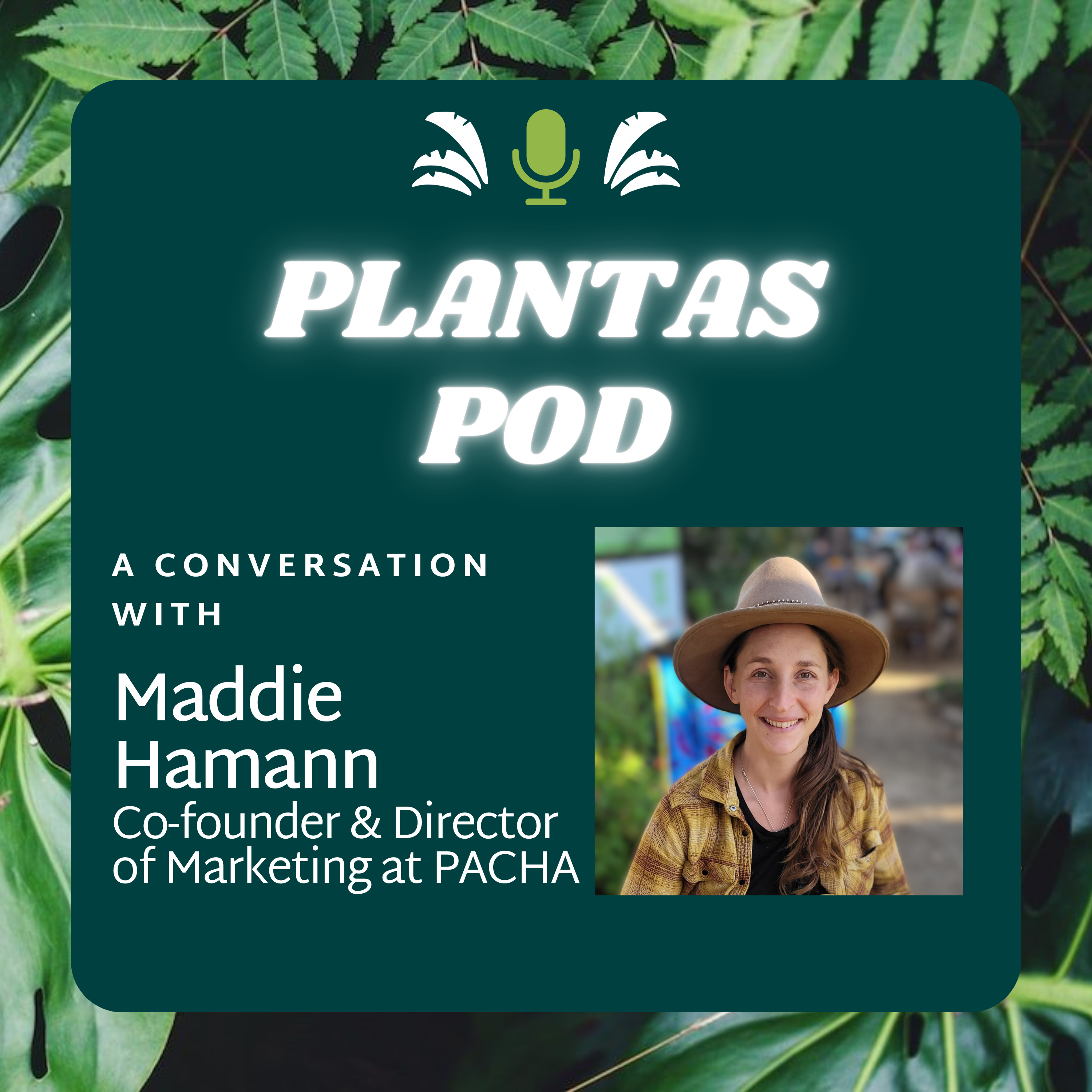 A Conversation with Maddie Hamman, Co-founder and Director of Marketing, PACHA  episode artwork