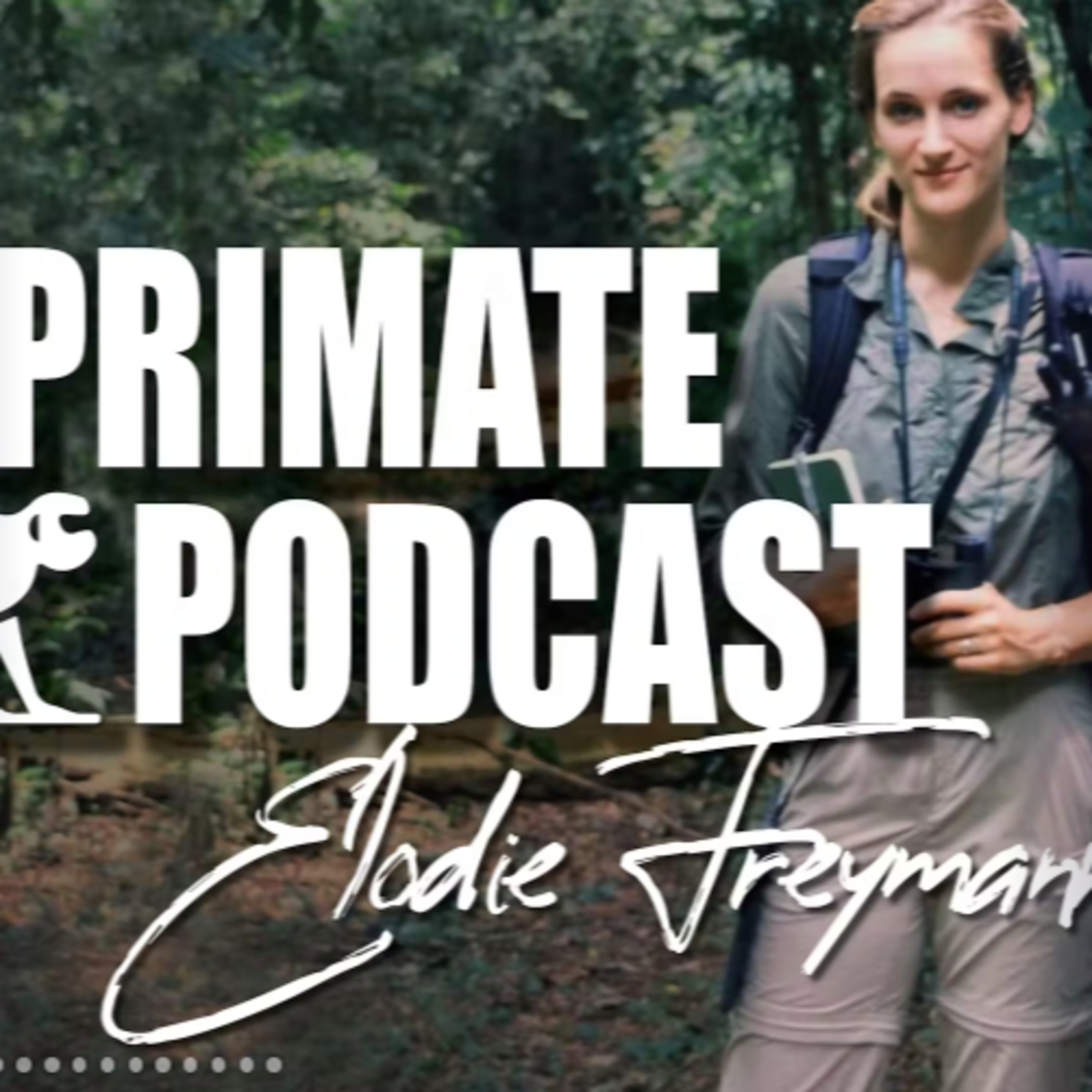 The Ecoflix Podcasts