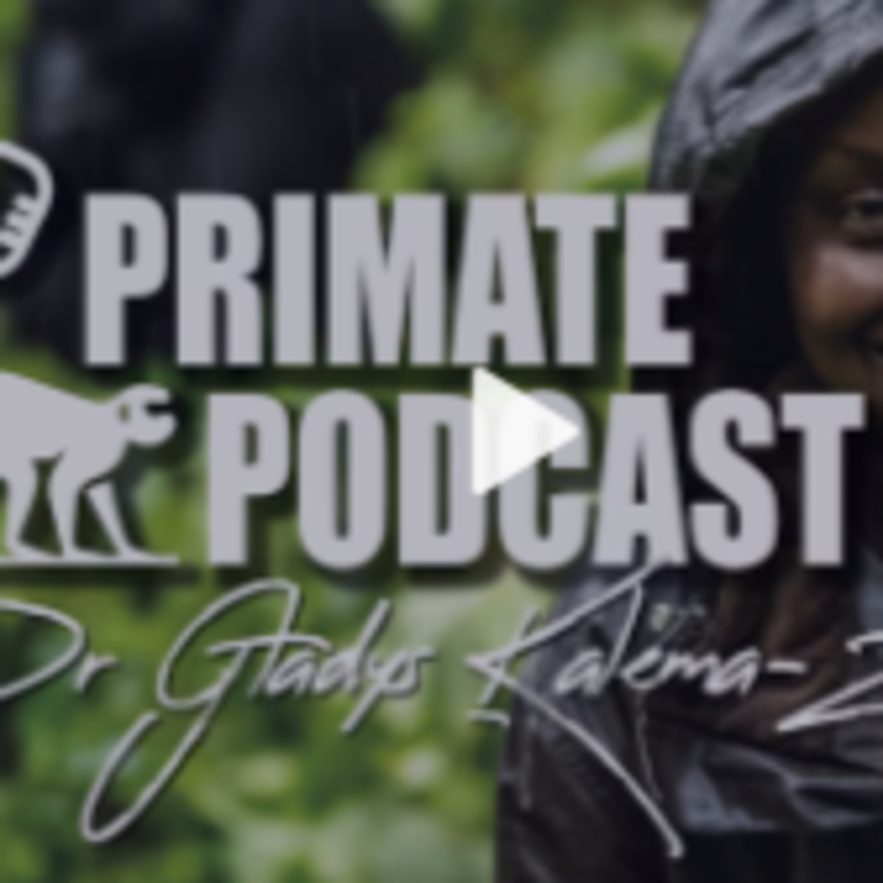 The Ecoflix Podcasts