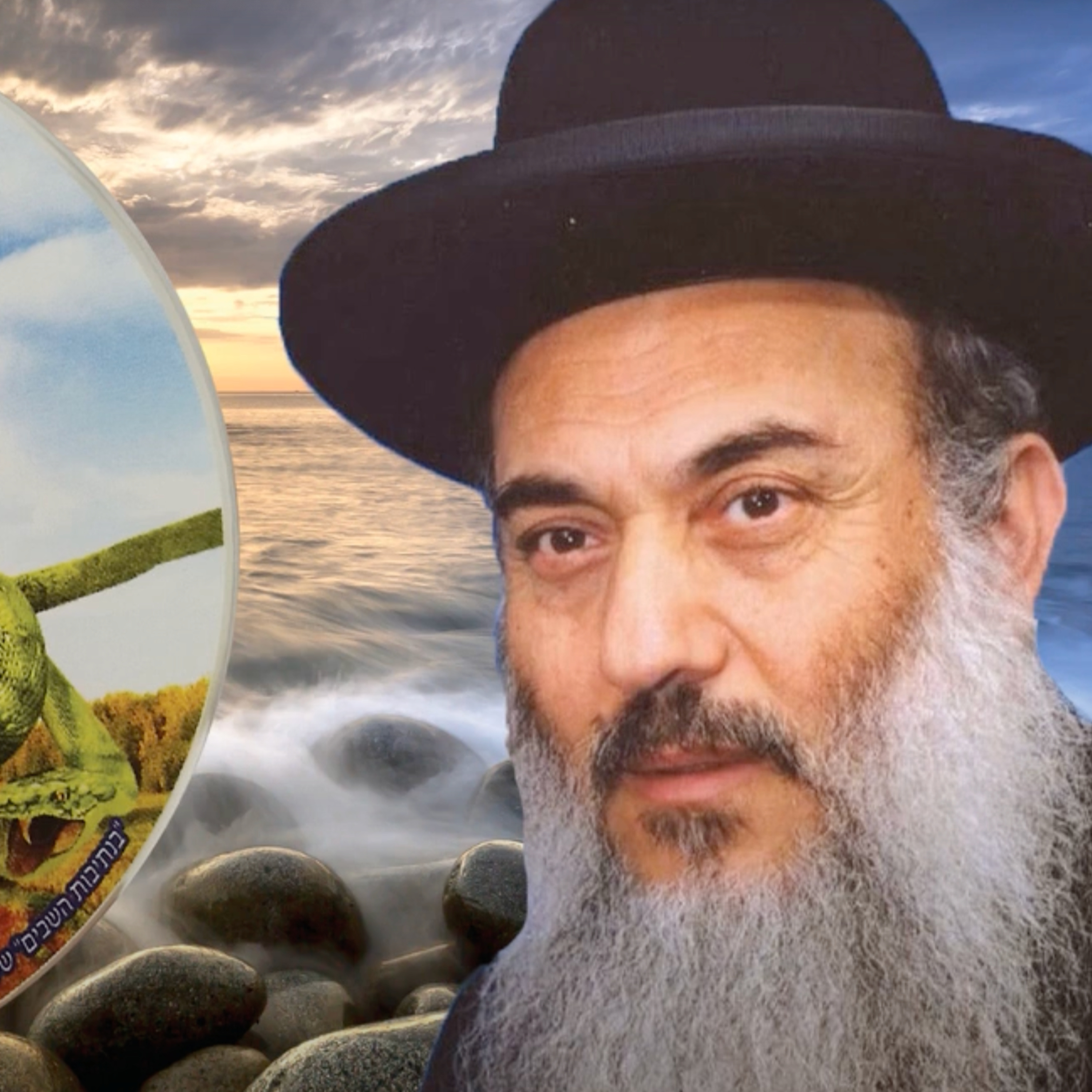  - 07 הרב ניסים יגן זצל הסחת דעת של רגע.  episode artwork