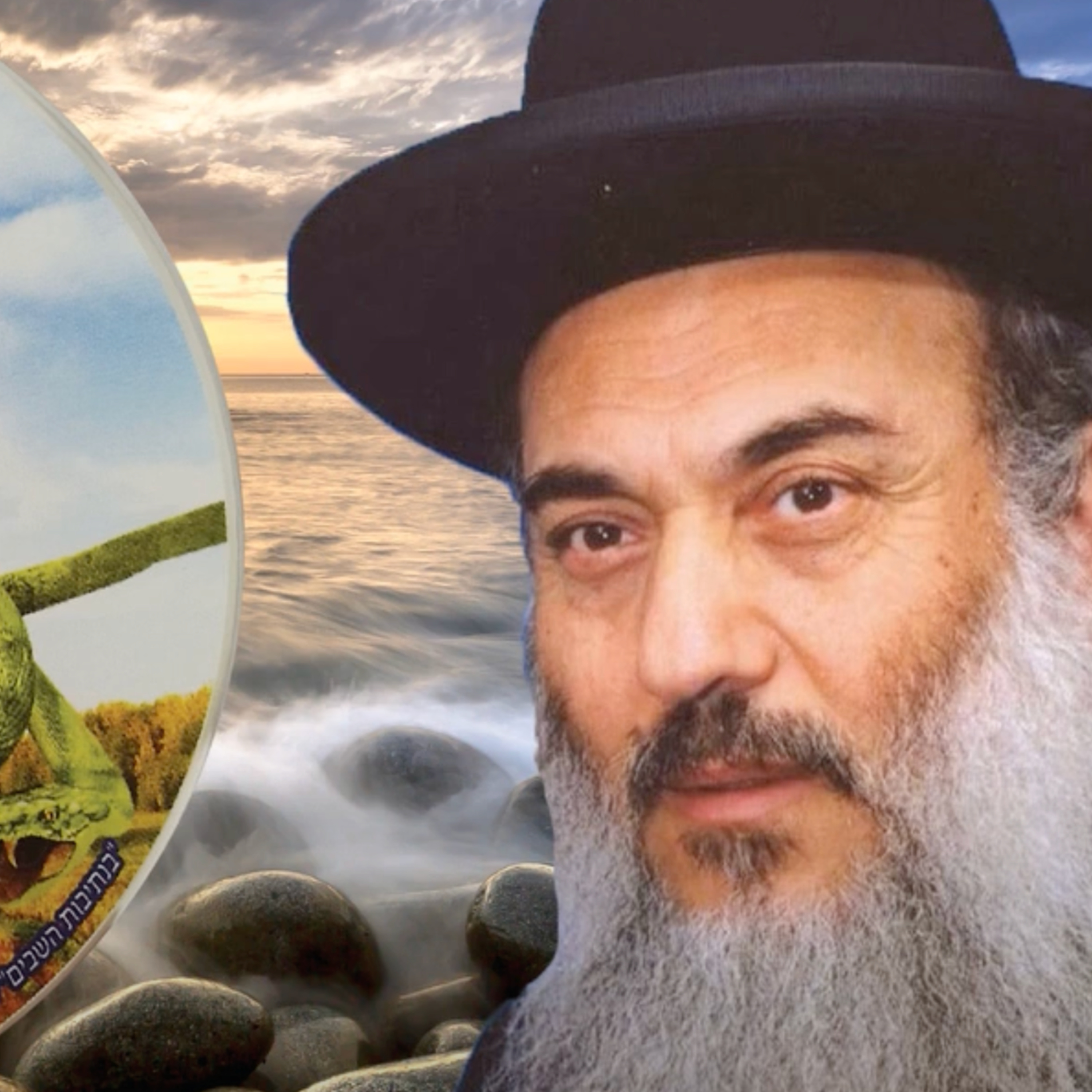  - 06 הרב ניסים יגן זצל את הצפוני ארחיק.  episode artwork