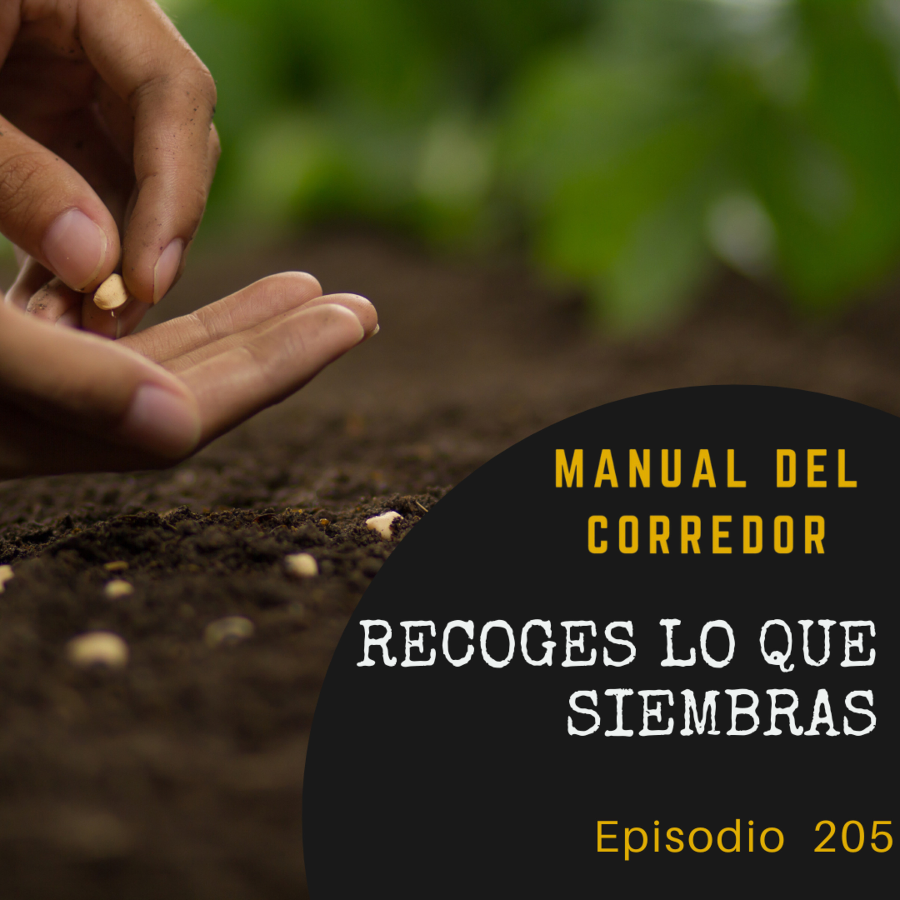 Manual del corredor
