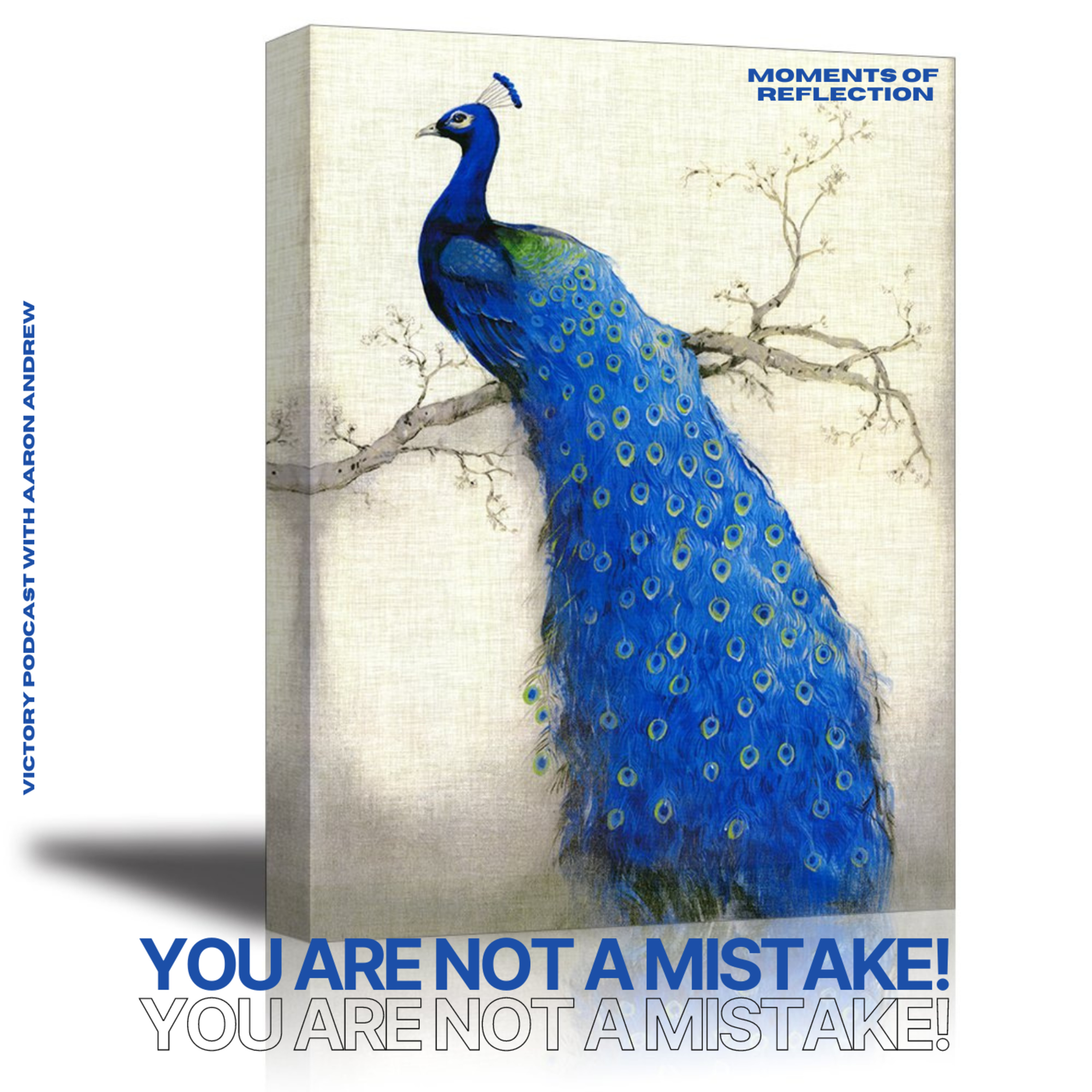 Moments of Reflection: You Are Not A Mistake! episode artwork