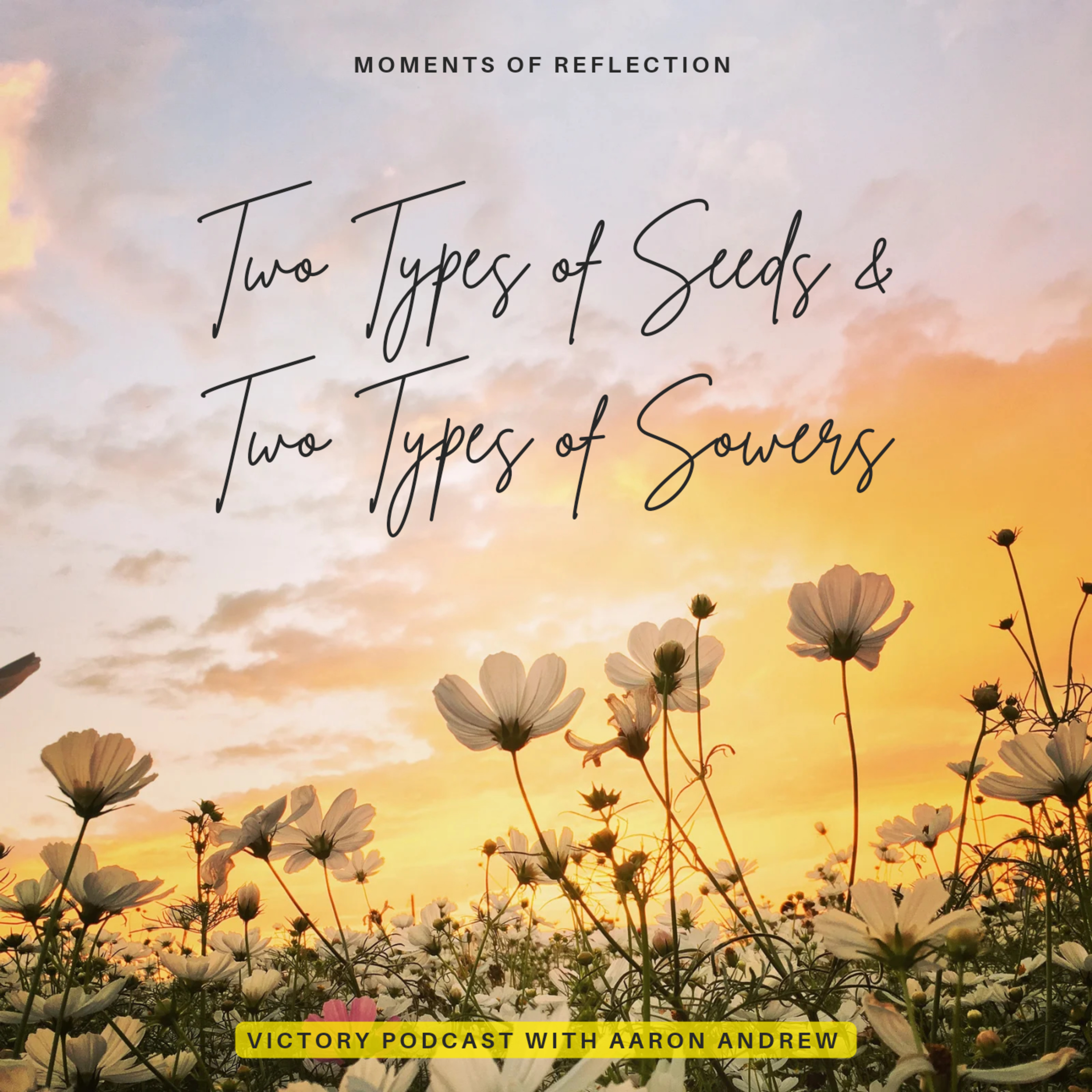 Moments of Reflection: Two Types of Seeds & Two Types of Sowers  episode artwork