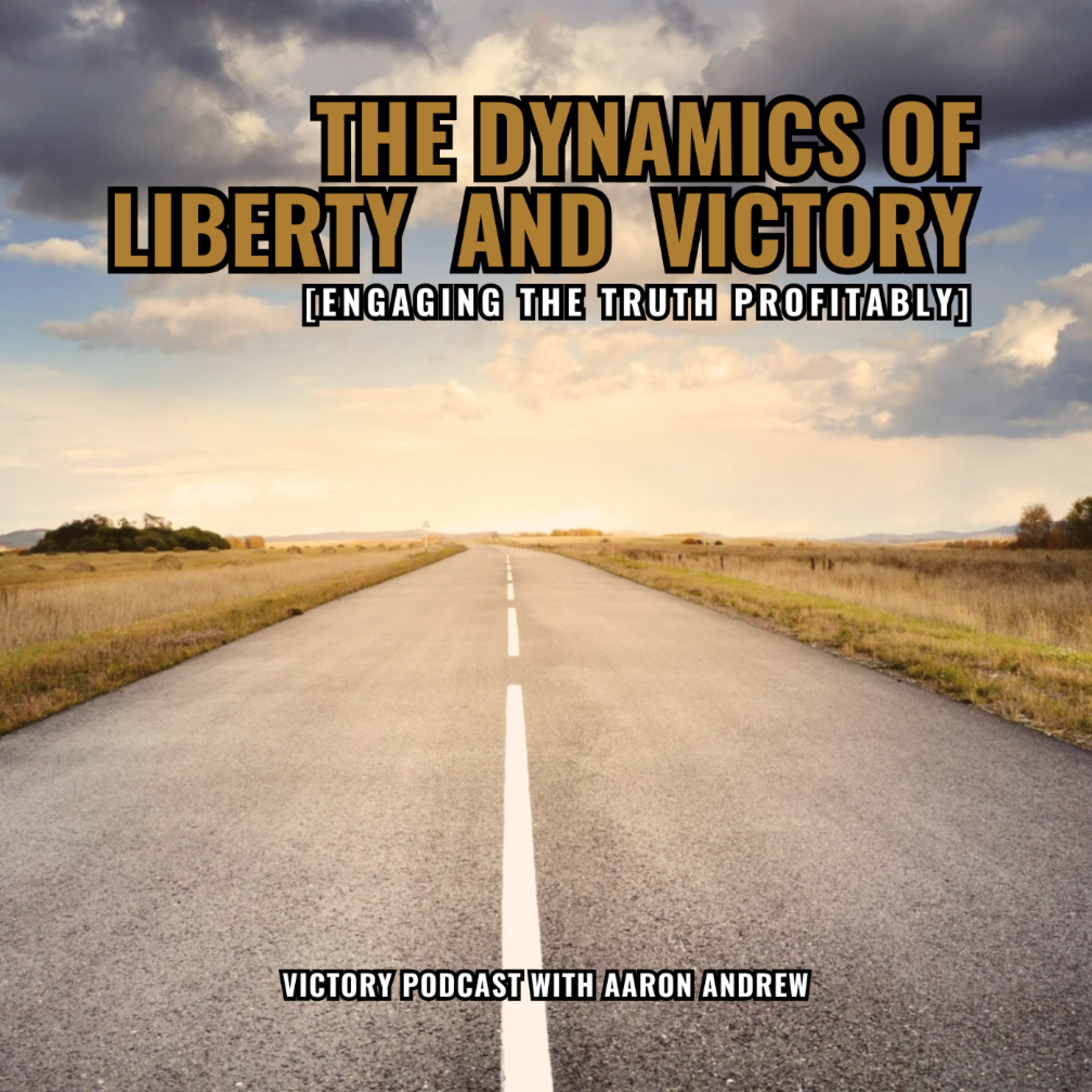 The Dynamics of Liberty And Victory [Accessing And Profitably Engaging Truth] episode artwork