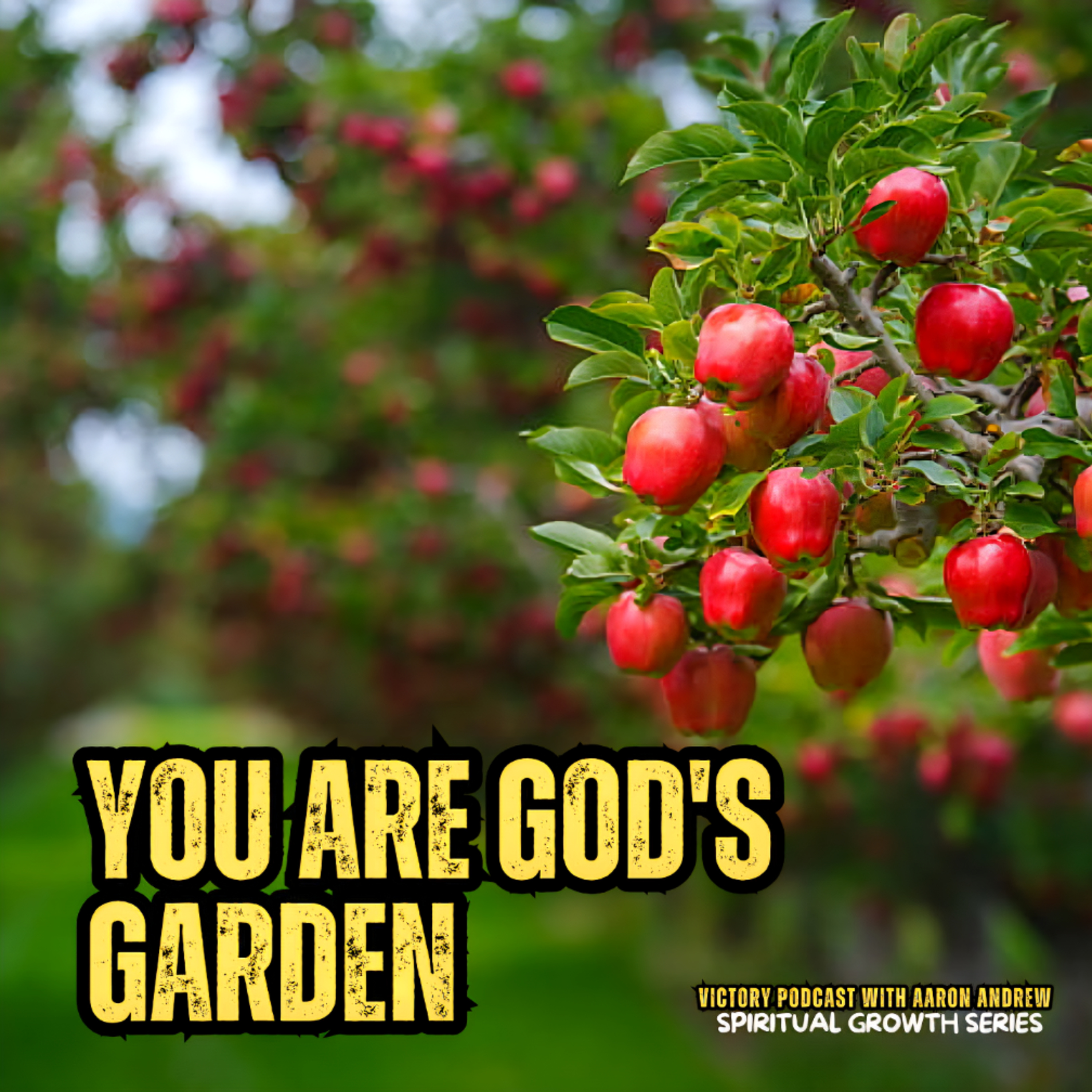 Spiritual Growth Series: You Are God's Garden | Ps. Adomako Asare  episode artwork