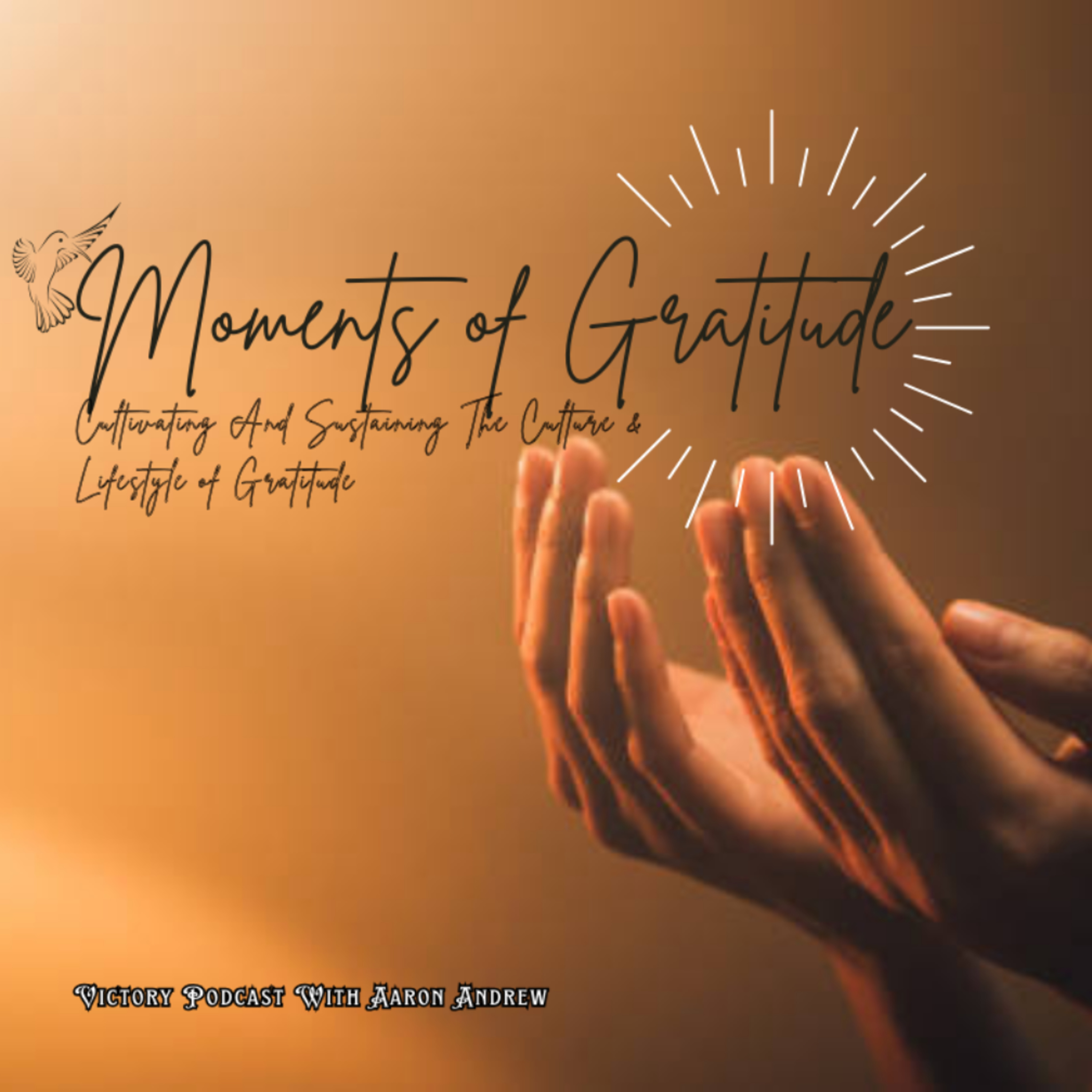 Moments of Gratitude: Cultivating & Sustaining A Culture of Gratitude ||Practitioners of Gratitude episode artwork