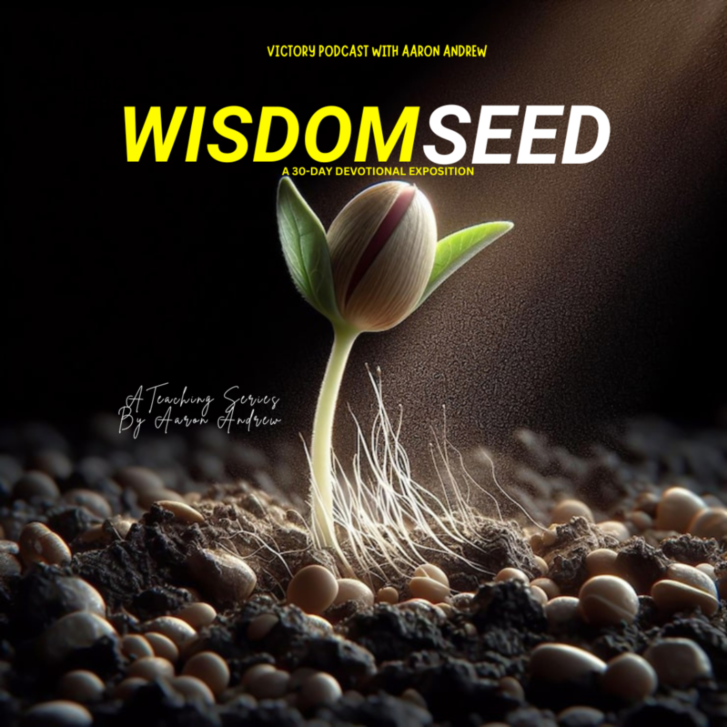 Wisdom Through Suffering || Wisdom Seed Devotional episode artwork