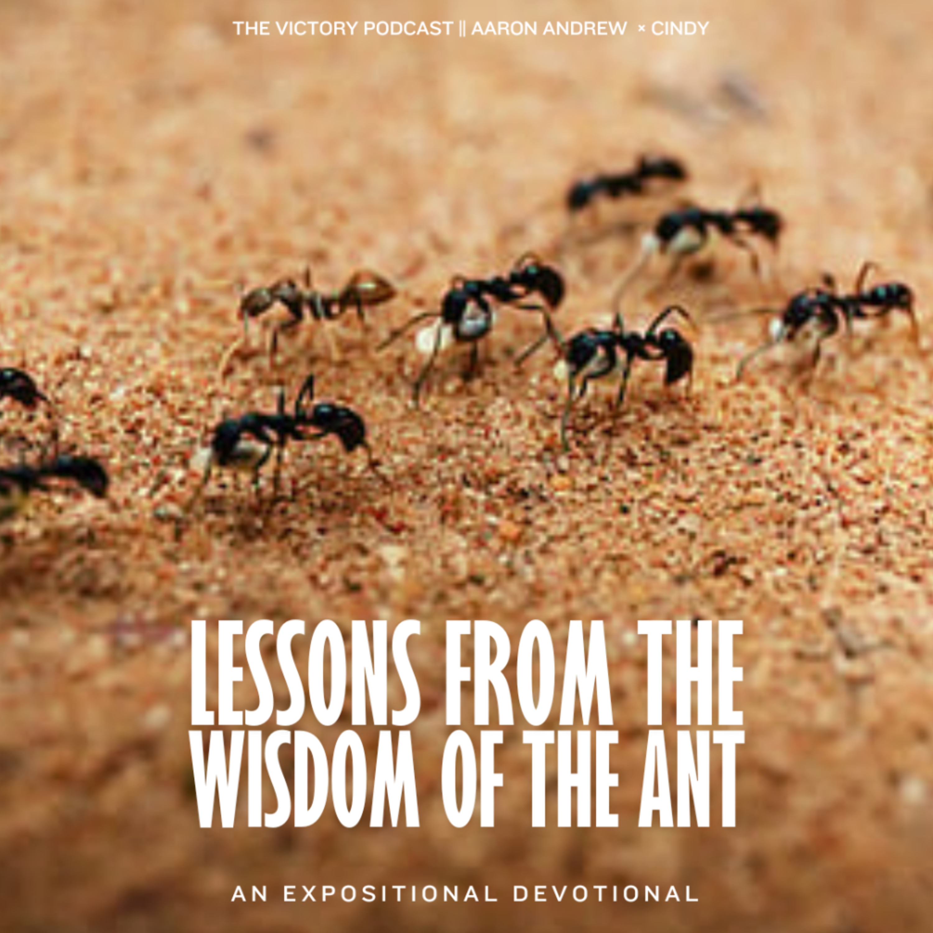 Lessons From The Wisdom of the Ant || Introduction || Devotional Teaching episode artwork