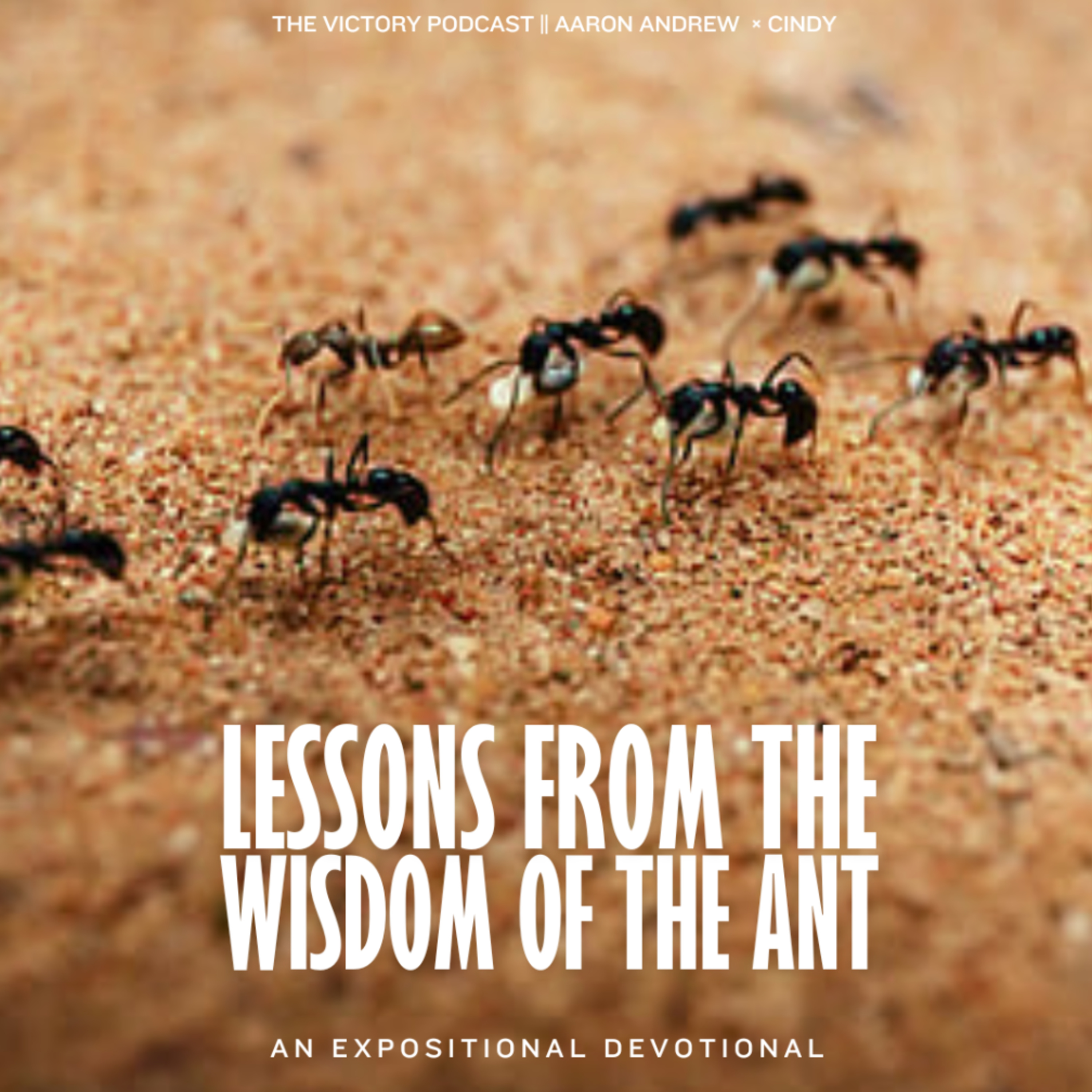 The Holy Spirit (Our Inner Ruler) || Lessons From The Wisdom of the Ant Devotional  episode artwork