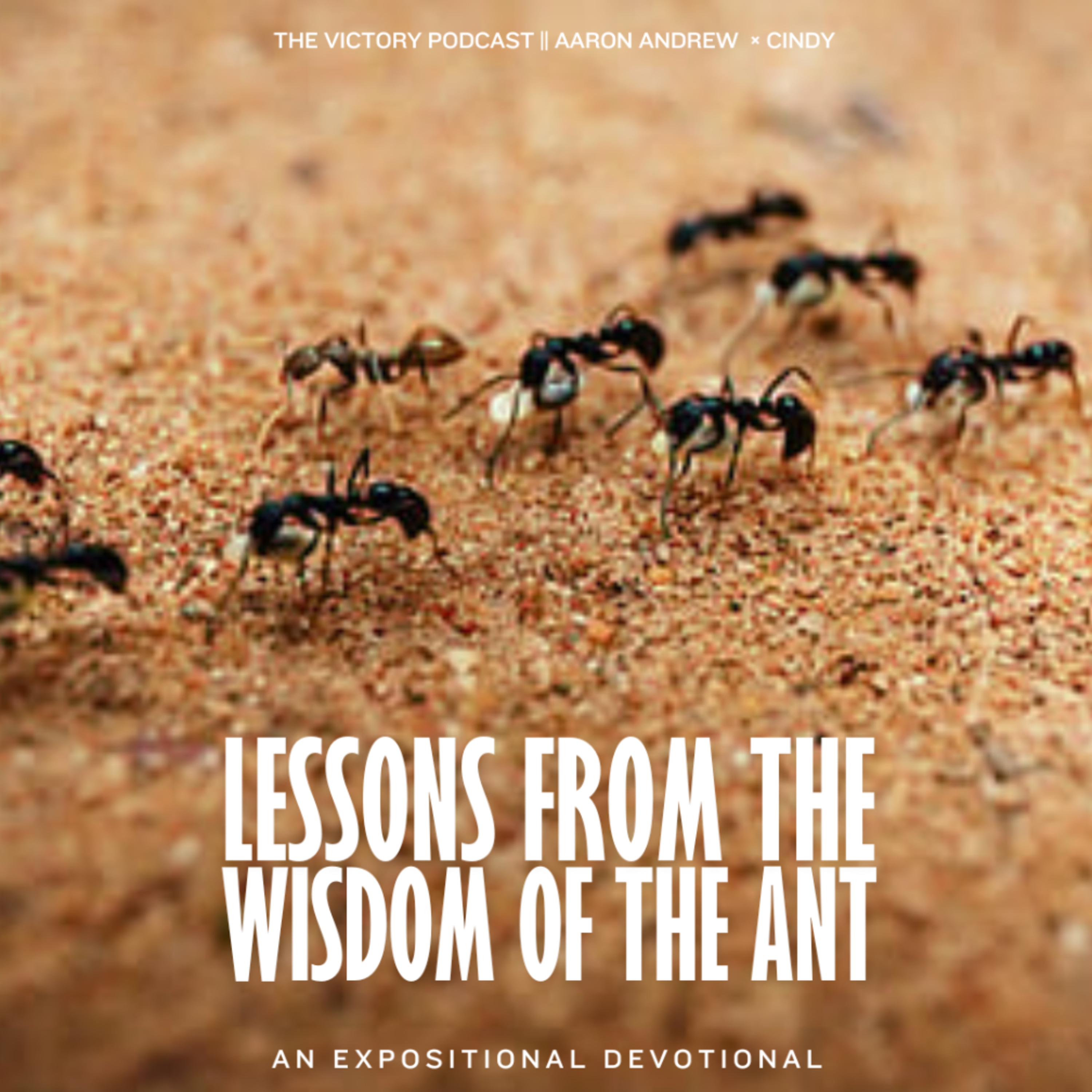 Running with Endurance (Keeping Going) || Lessons From The Wisdom of the Ant Devotional  episode artwork