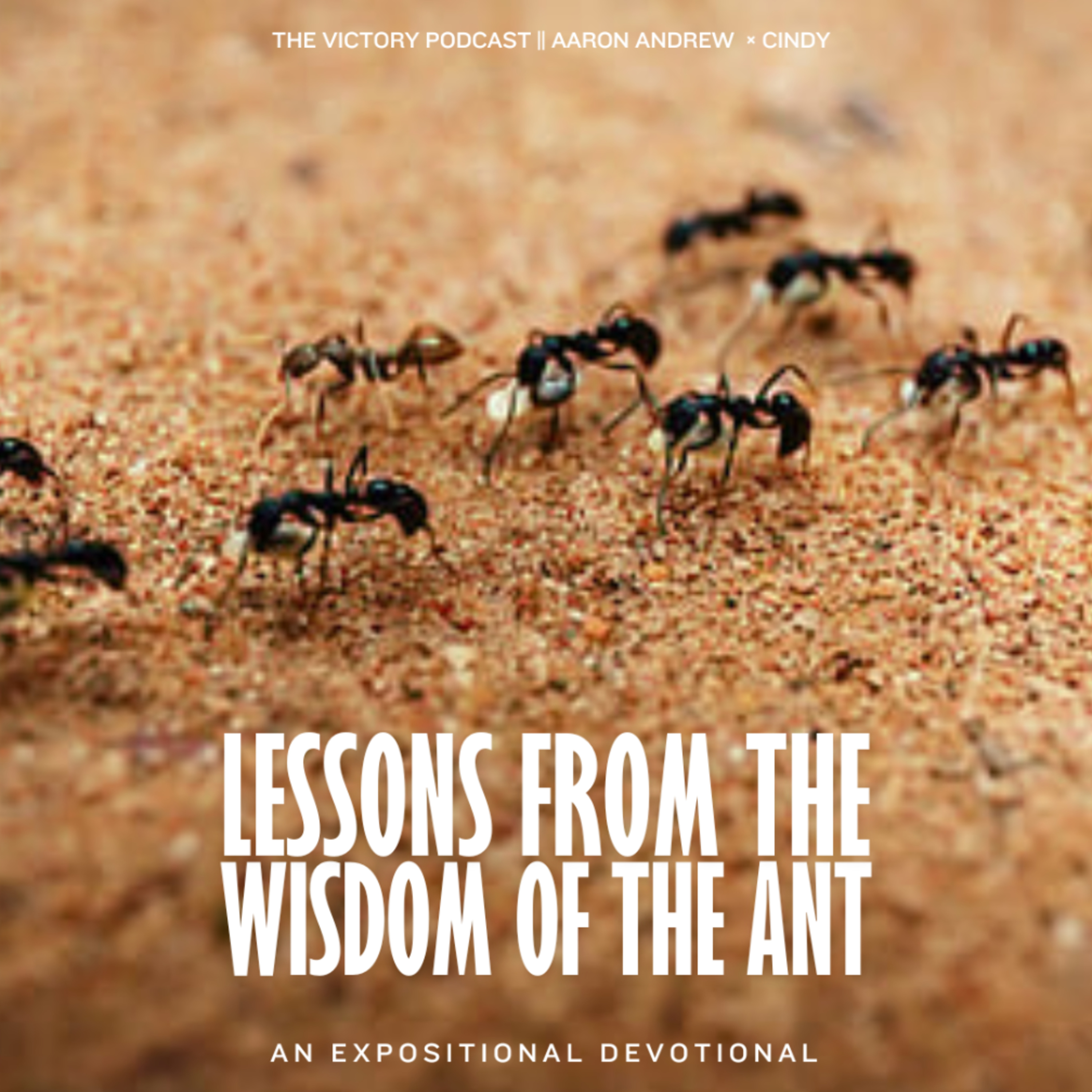 Created for Good Works || Lessons From The Wisdom of the Ant Devotional  episode artwork
