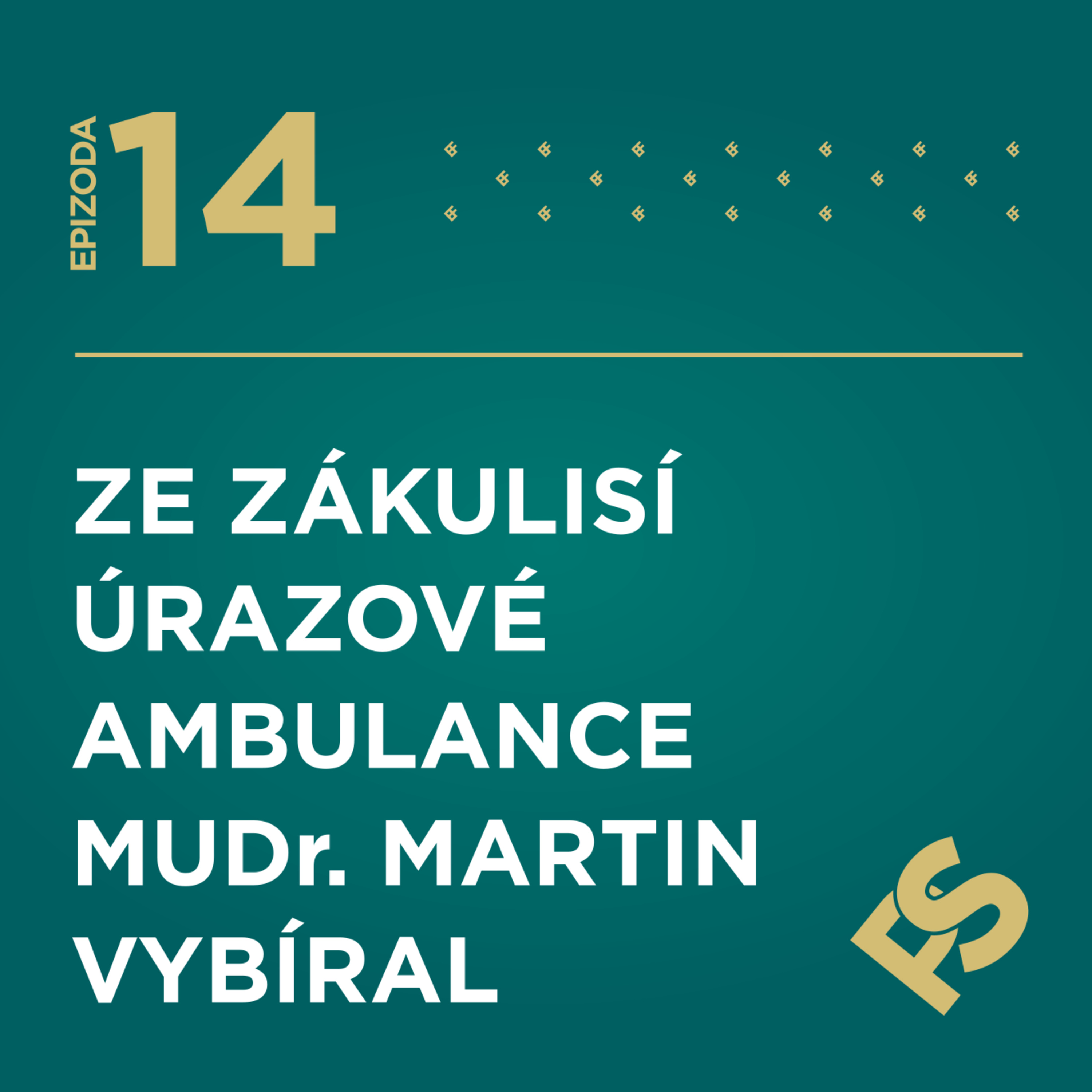 14 - Ze zákulisí úrazové ambulance MUDr. Martin Vybíral episode artwork