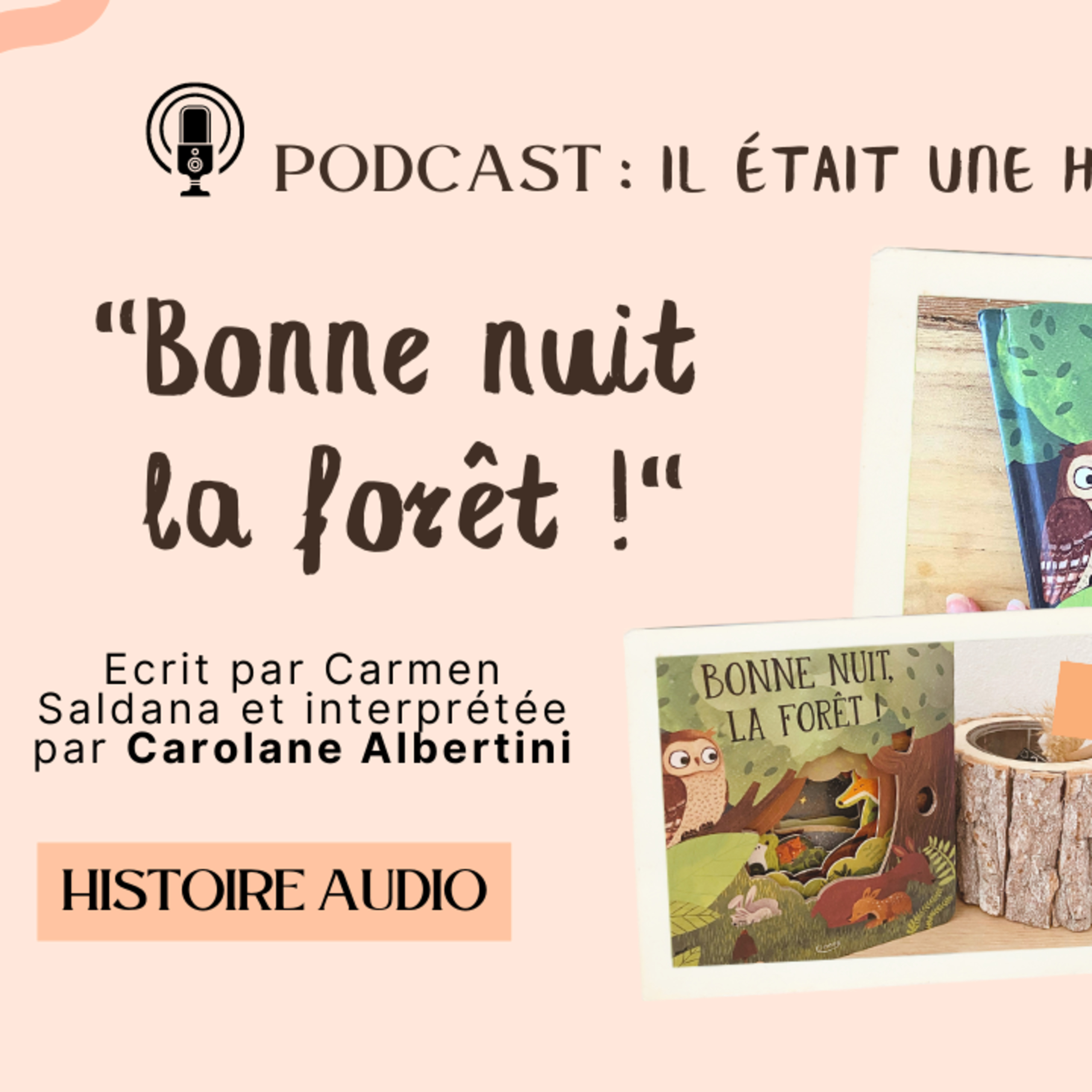 Il était une histoire