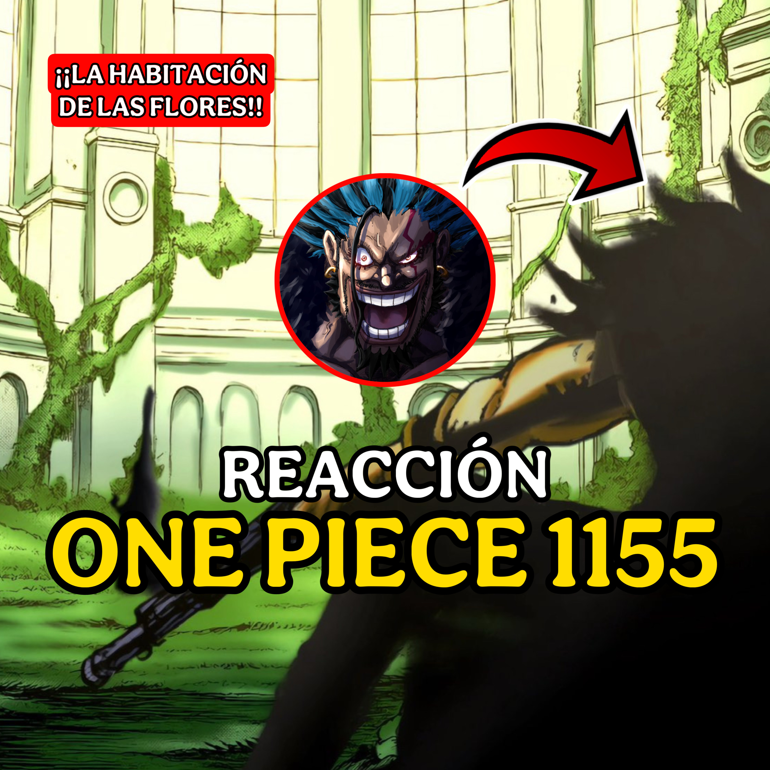 Conexión Levely