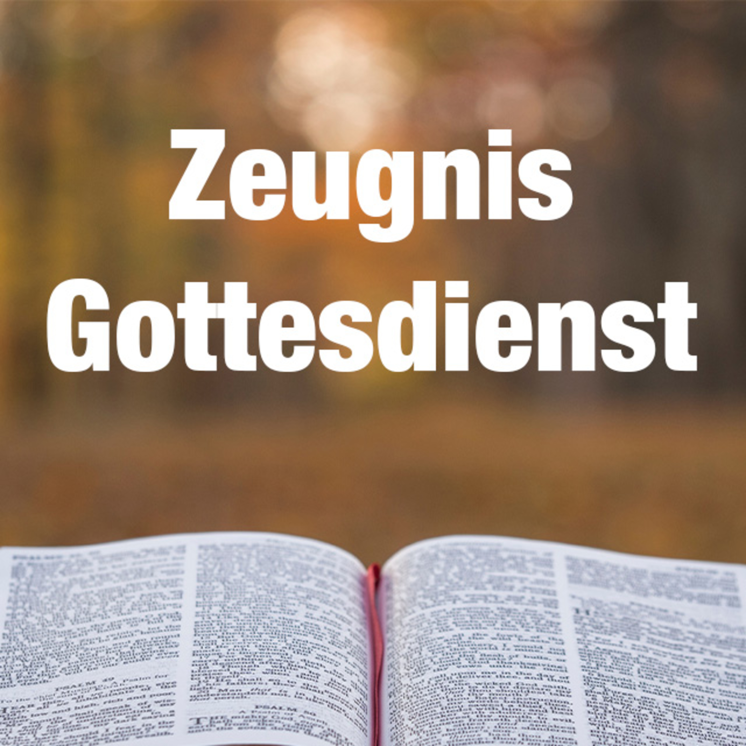 Zeugnis - Gottesdienst vom 31.12.2024 episode artwork