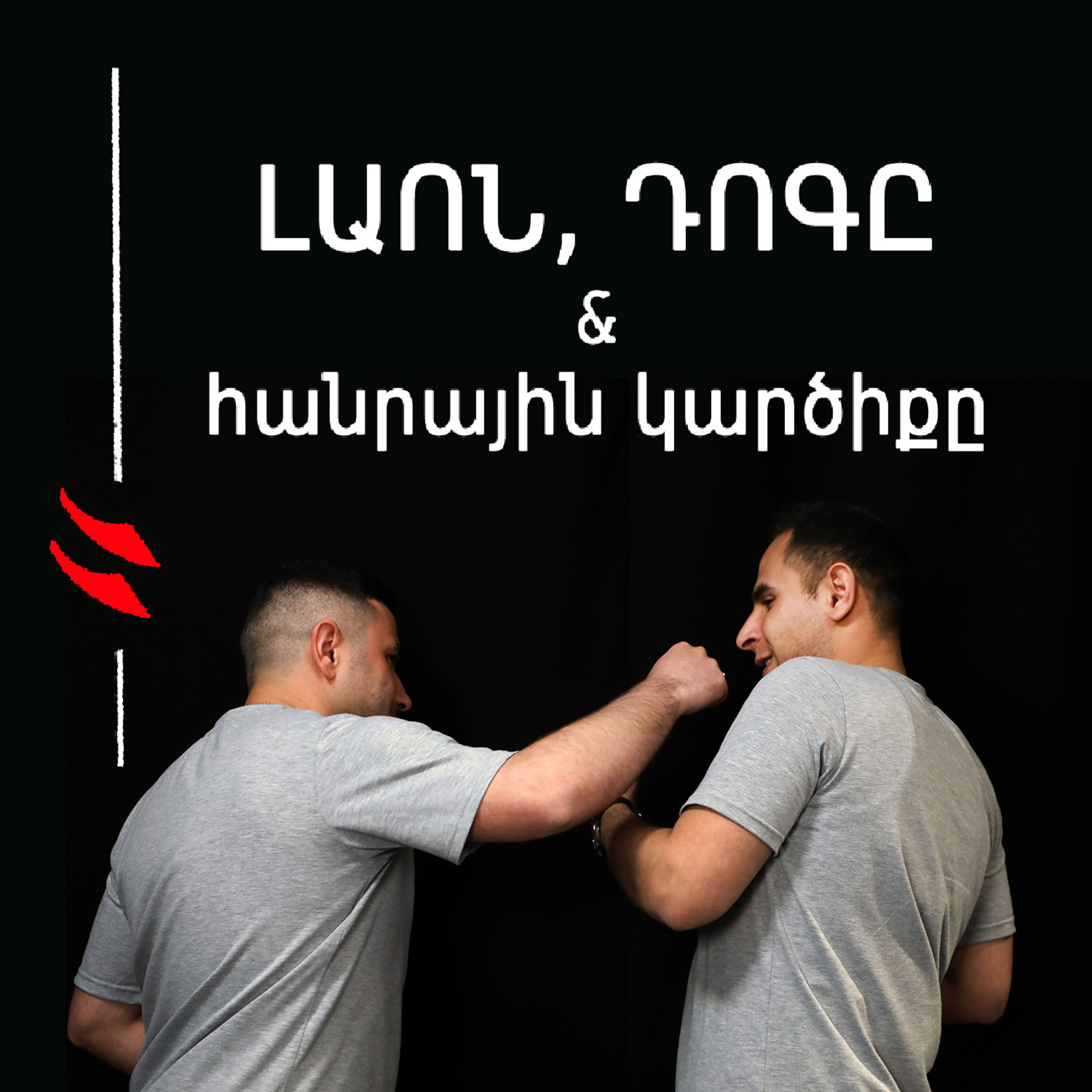 Թարգիր լաո 11 / Լաոն, Դոգն ու հանրային կարծիքը / Փաշոյան / Մադոյան episode artwork
