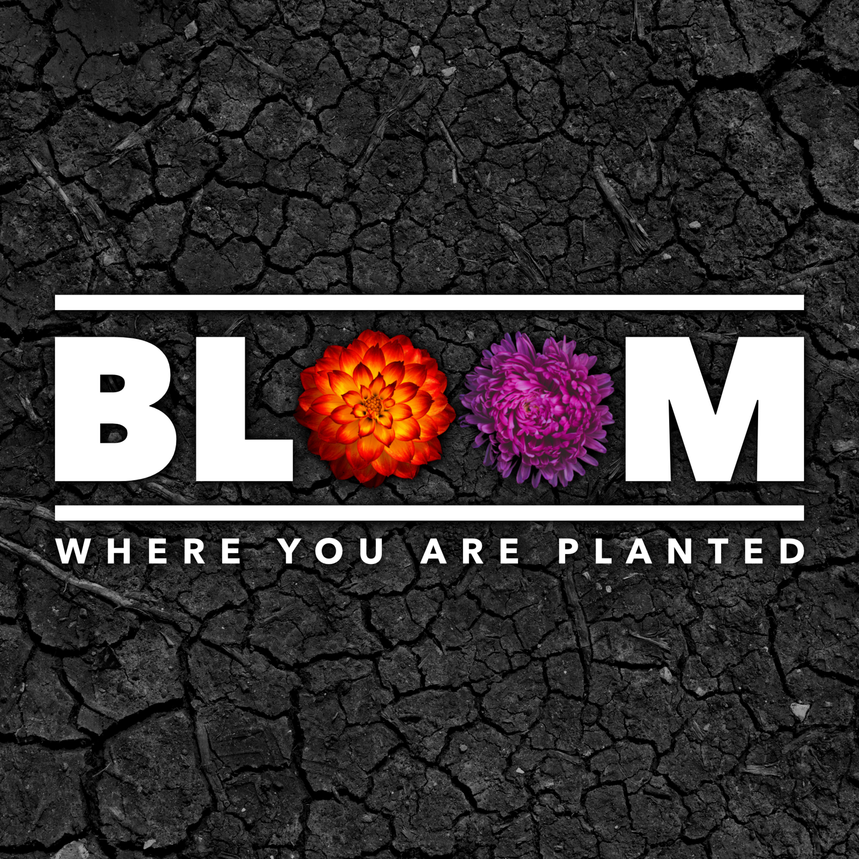 BLOOM WHERE YOU ARE PLANTED | Part 3 "You were made ON PURPOSE, FOR a PURPOSE, ONLY you can do." episode artwork