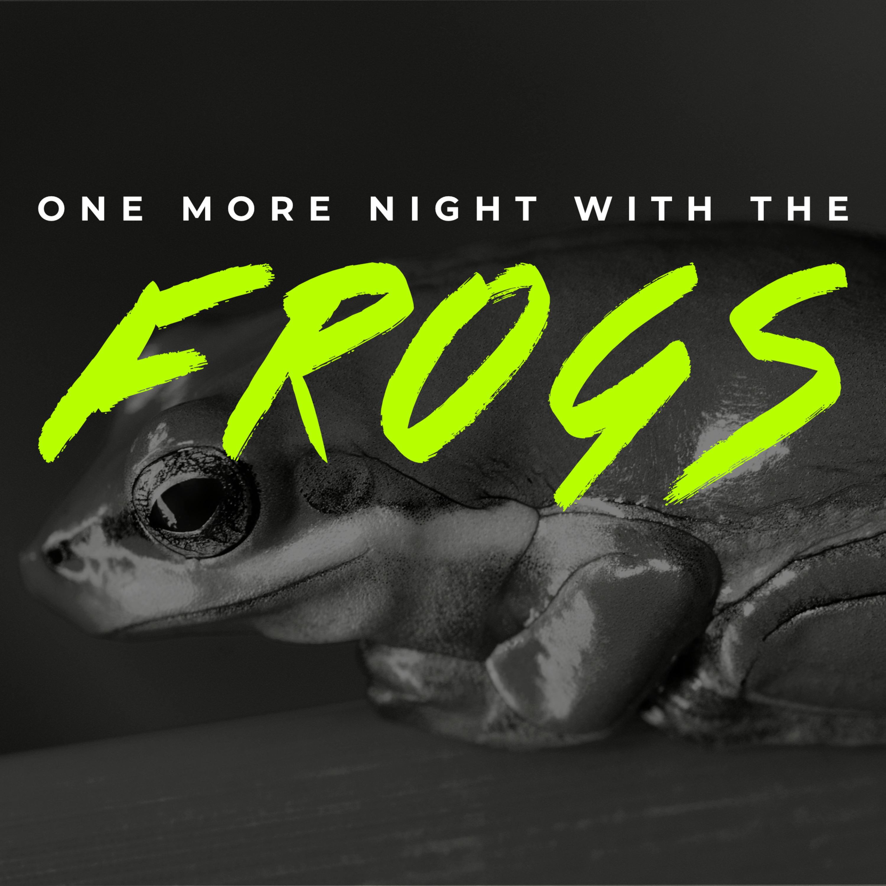 ONE MORE NIGHT WITH THE FROGS episode artwork