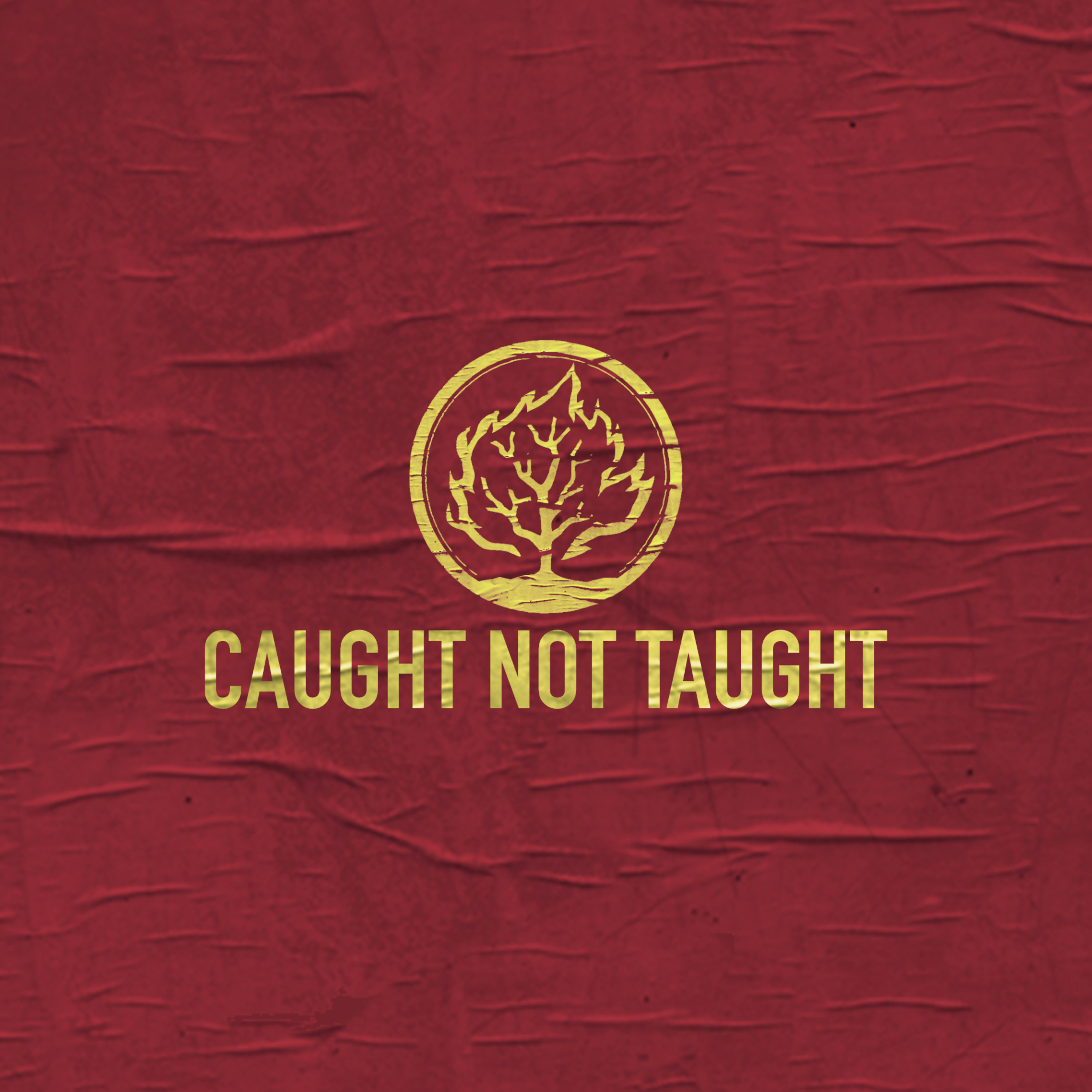 CAUGHT NOT TAUGHT | Proof To The World