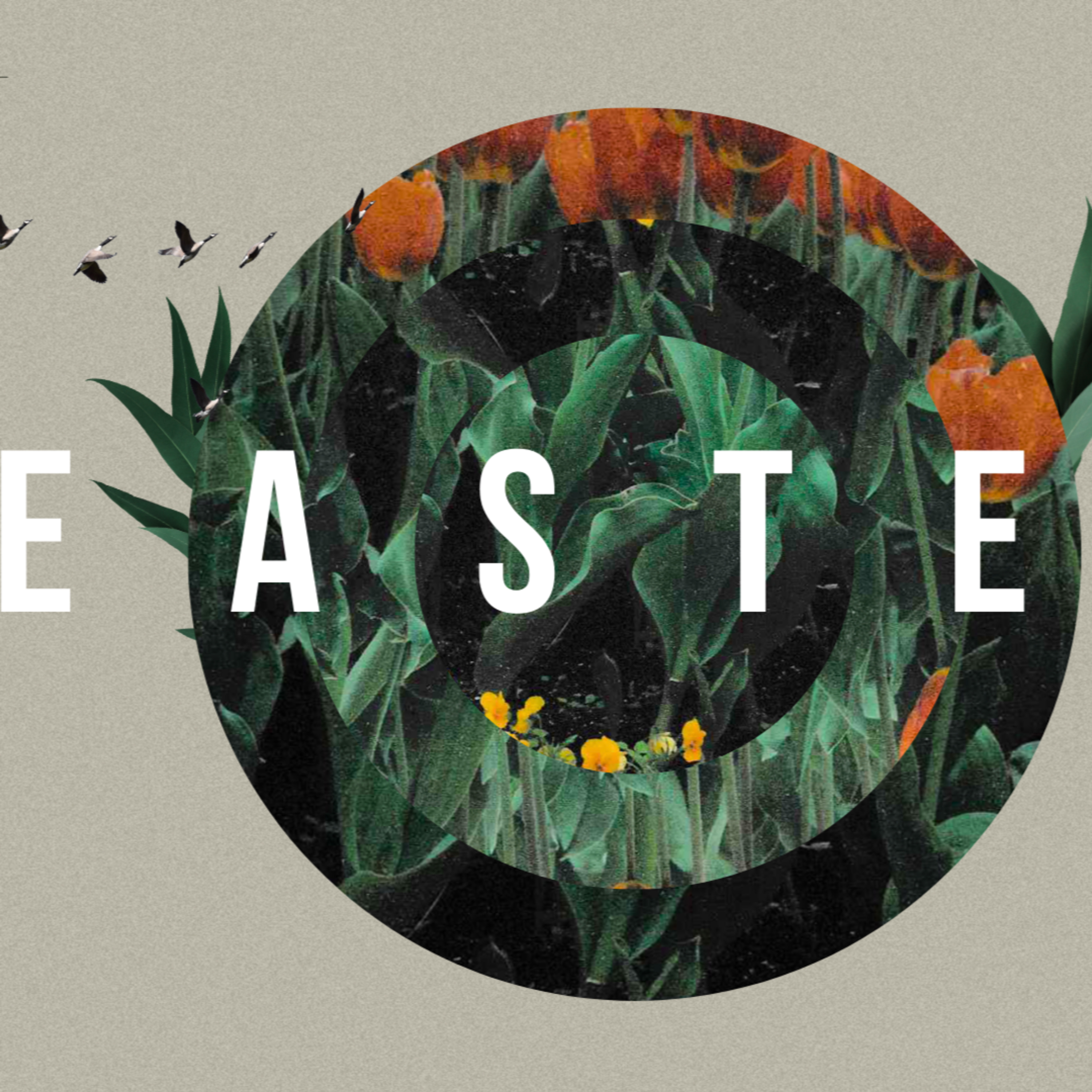 Easter Joy. Acts 8:1-8 episode artwork