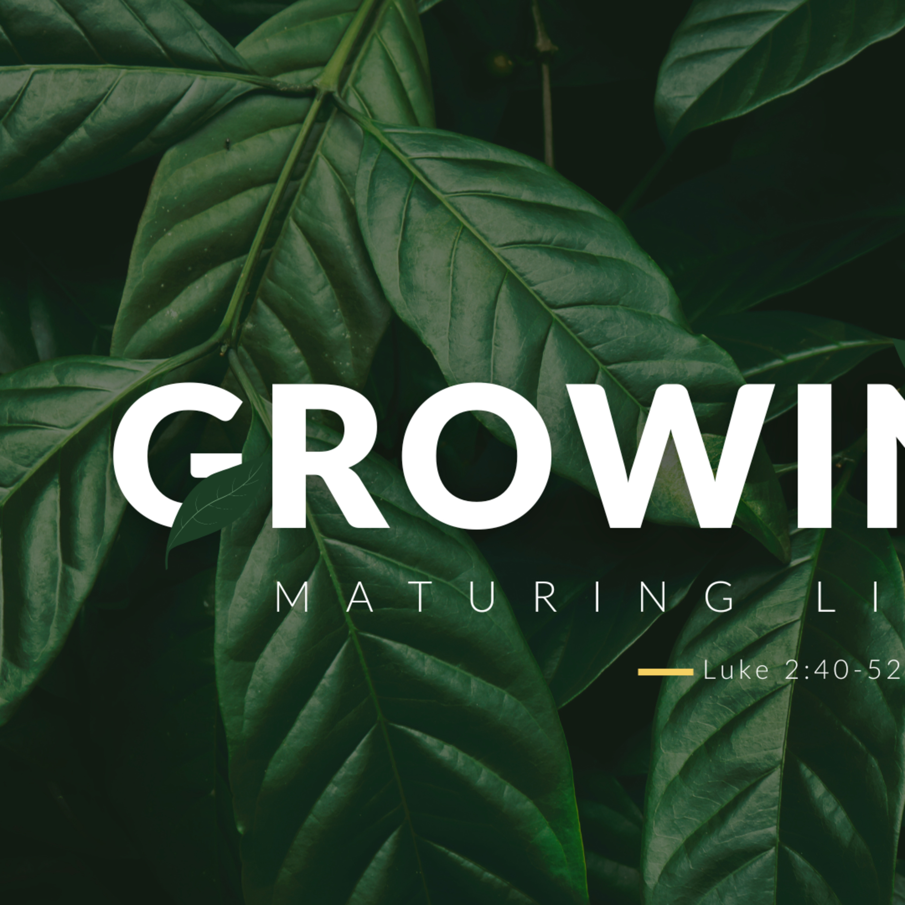 Growing Up: Maturing Like Jesus Luke 2:40-52 pt.1 episode artwork
