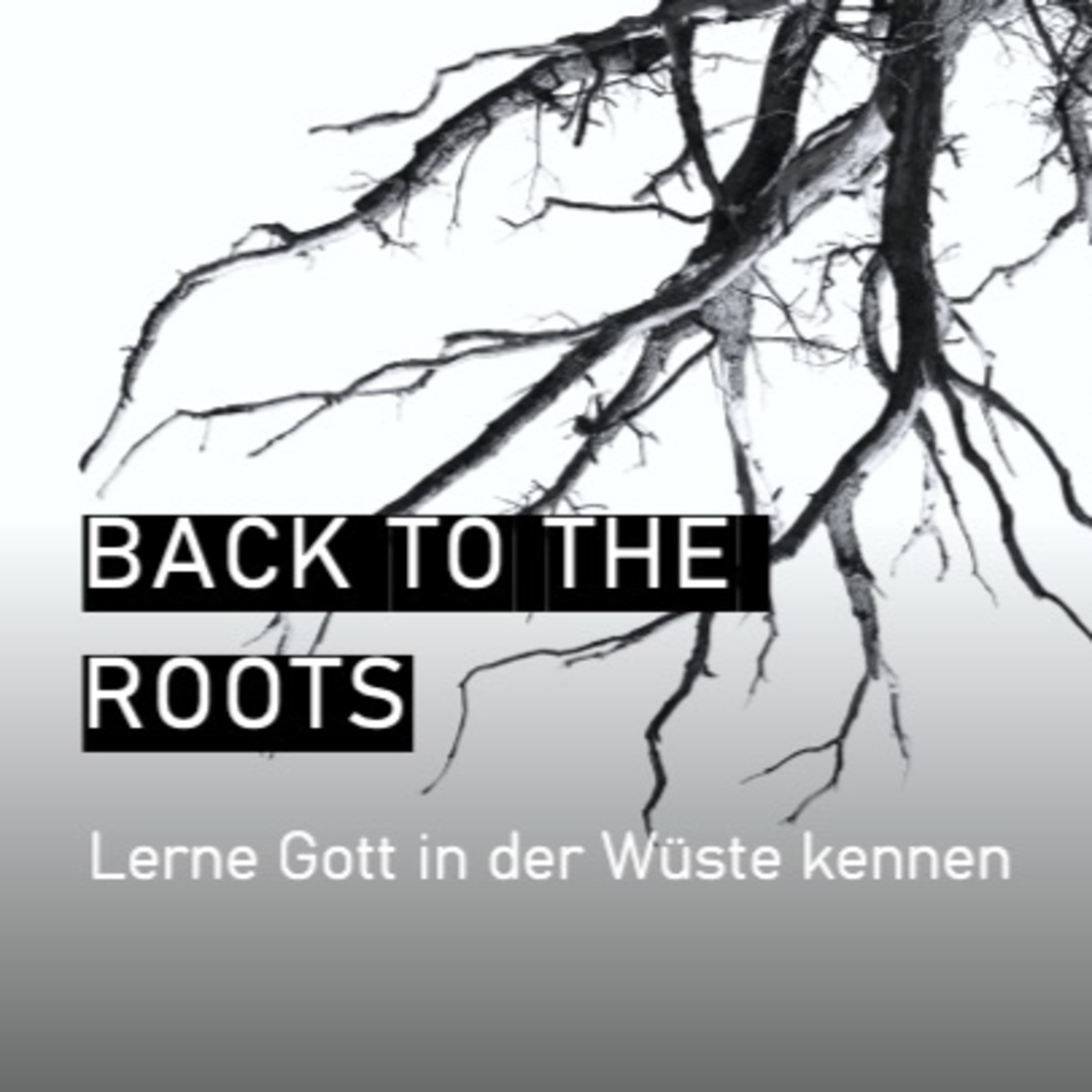 Immanuel-deine Kirche Predigt Podcast