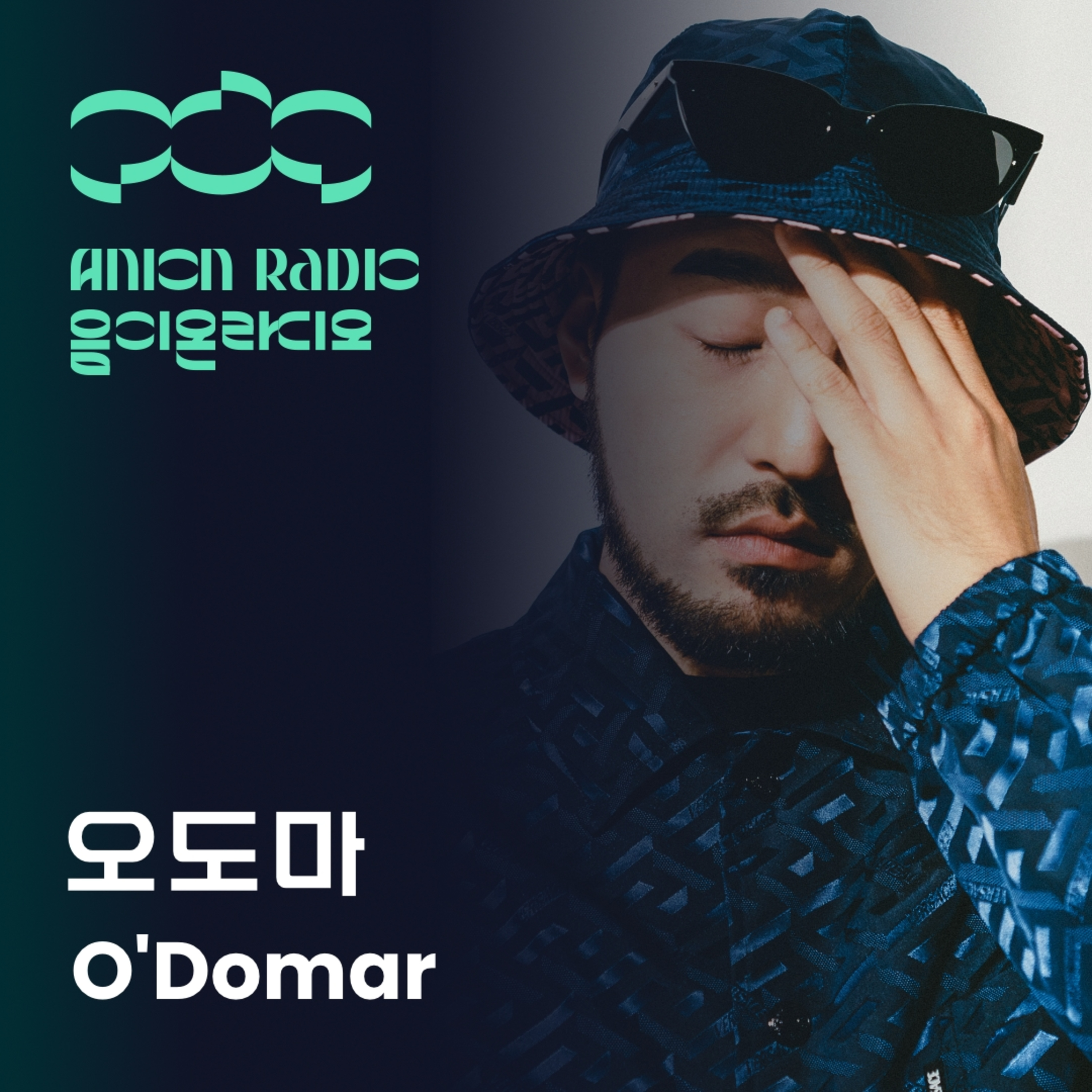 오도마에게 '진짜와 가짜'란? | 음이온라디오 EP6 (호스트:하박국) "What is 'real' and 'fake' to O'Domar?" | Anion Radio EP6 (Host: HAVAQQUQ) episode artwork