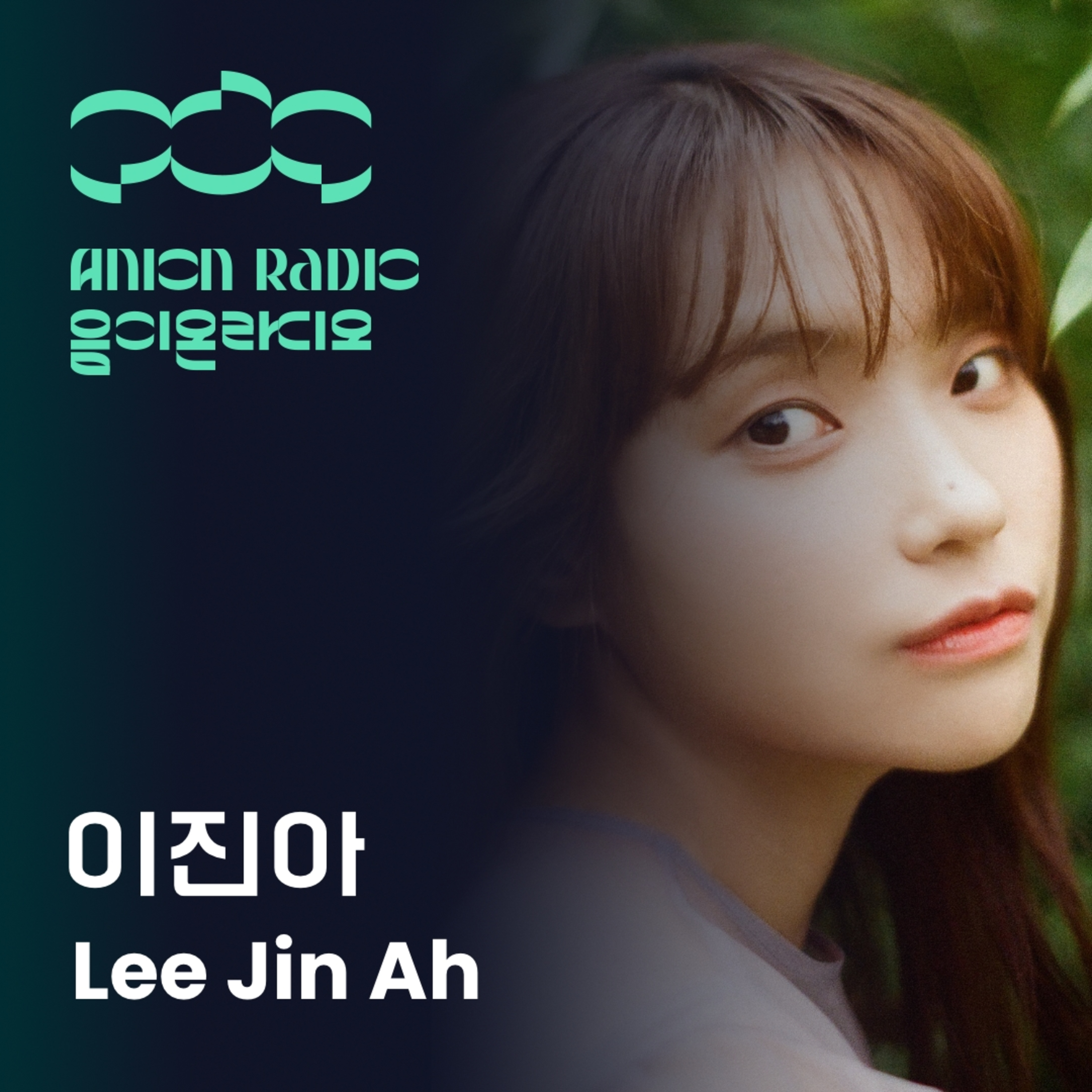 음이온 라디오 Anion Radio