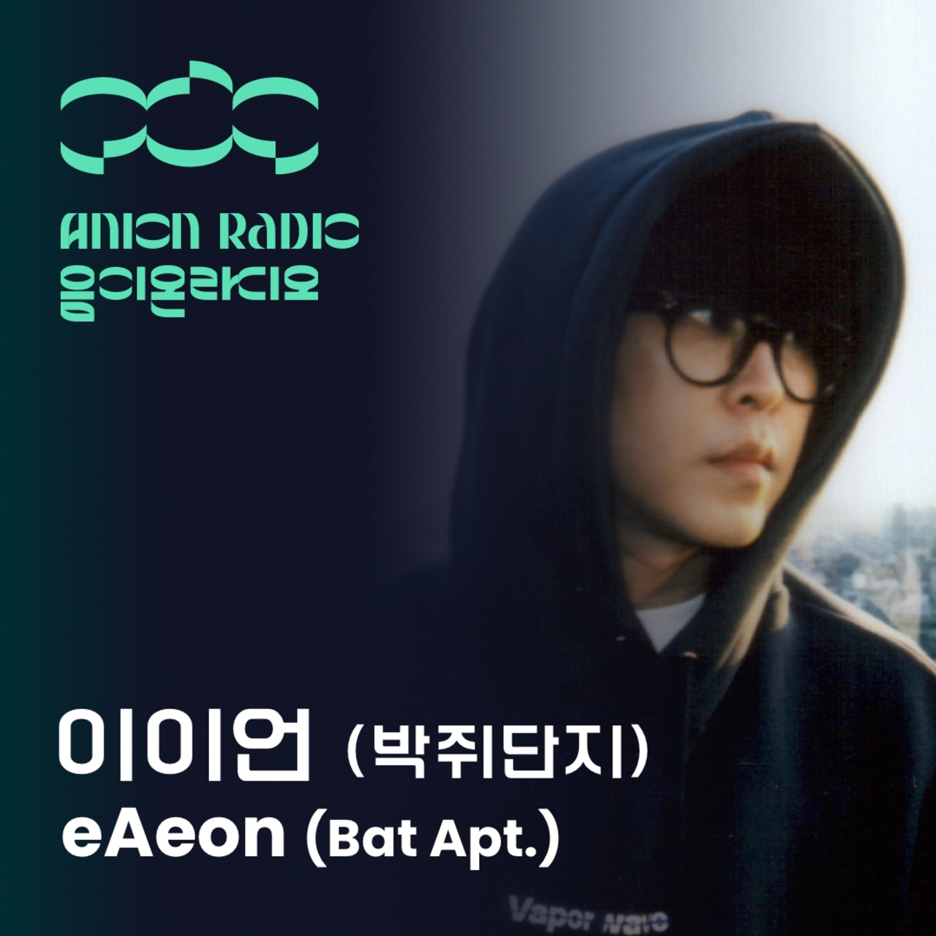 데뷔 20주년을 맞이한 이이언에게 박쥐단지란? | 음이온라디오x암페어 EP13 (호스트:하박국) What is a bat apt. for eAeon in its 20th year? | Anion Radio x Amfair EP13 (Host: HAVAQQUQ) episode artwork
