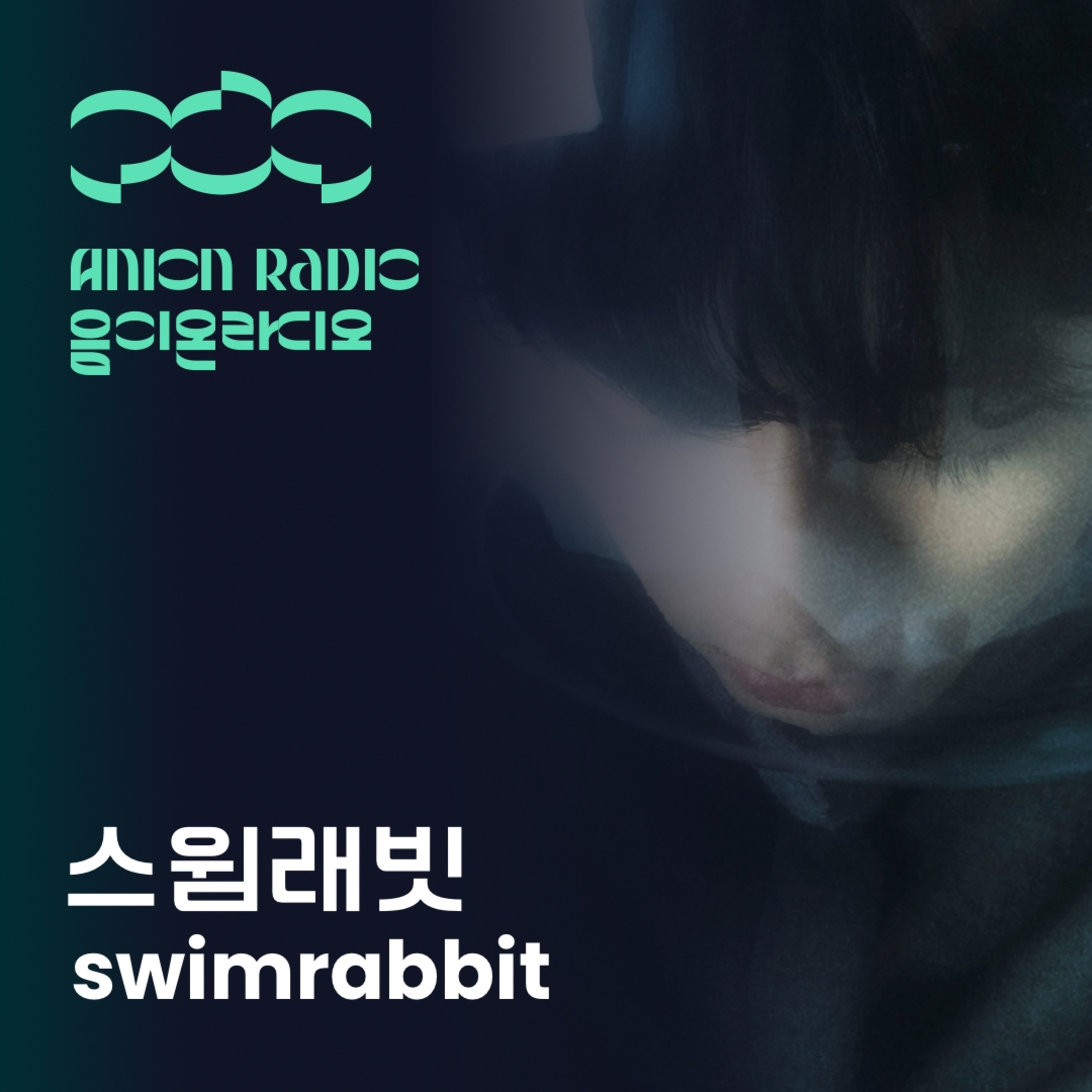 스윔래빗에게 디지몬이란? | 음이온라디오x암페어 EP14 (호스트: 하박국) What is a Digimon to a Swimrabbit? | Anion Radio x Amfair EP14 (Host: HAVAQQUQ) episode artwork