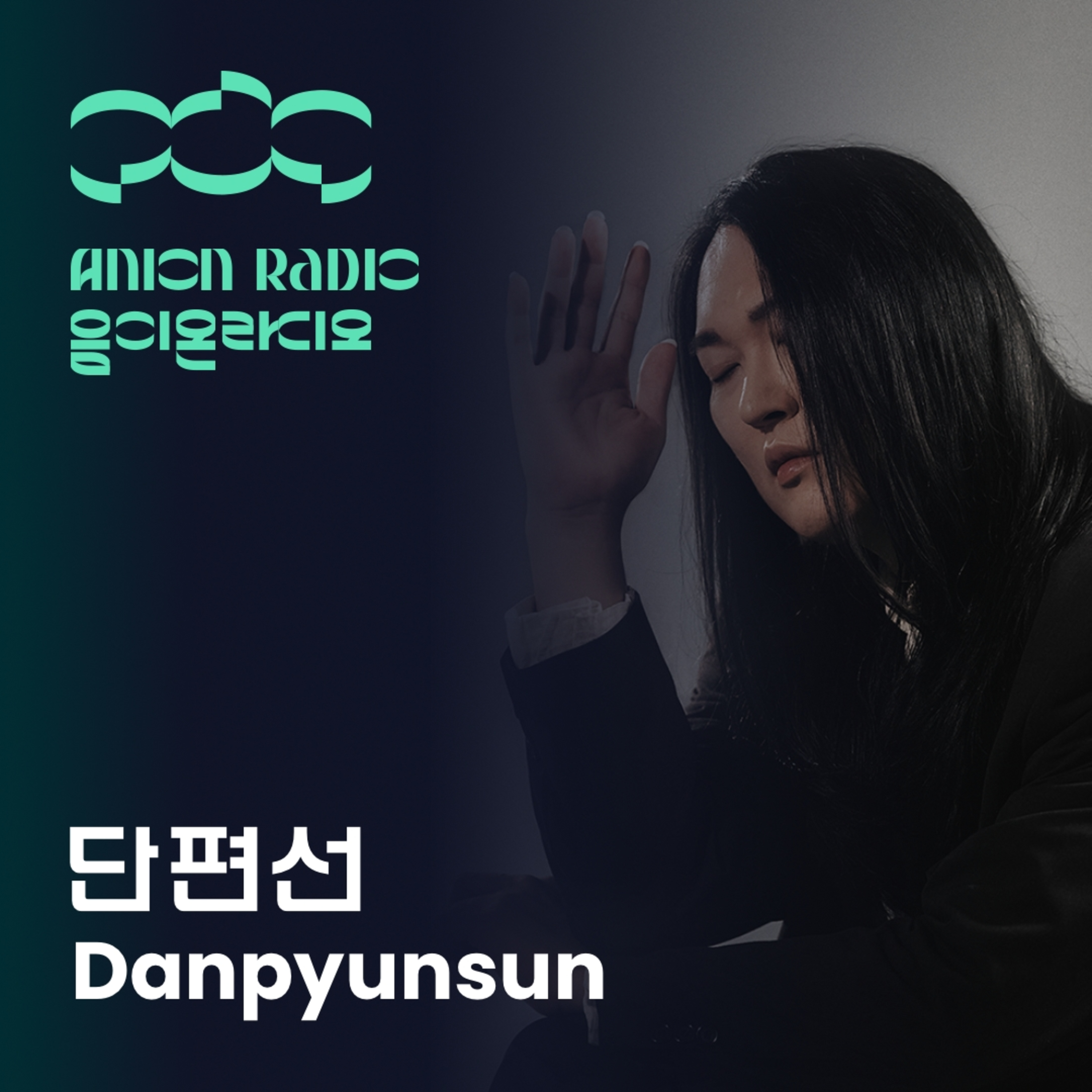 단편선에게 음악만세란? | 음이온라디오 EP17 (호스트: 하박국) What is Hooray for Music to Danpyunsun? | Anion Radio EP17 (Host: HAVAQQUQ) episode artwork